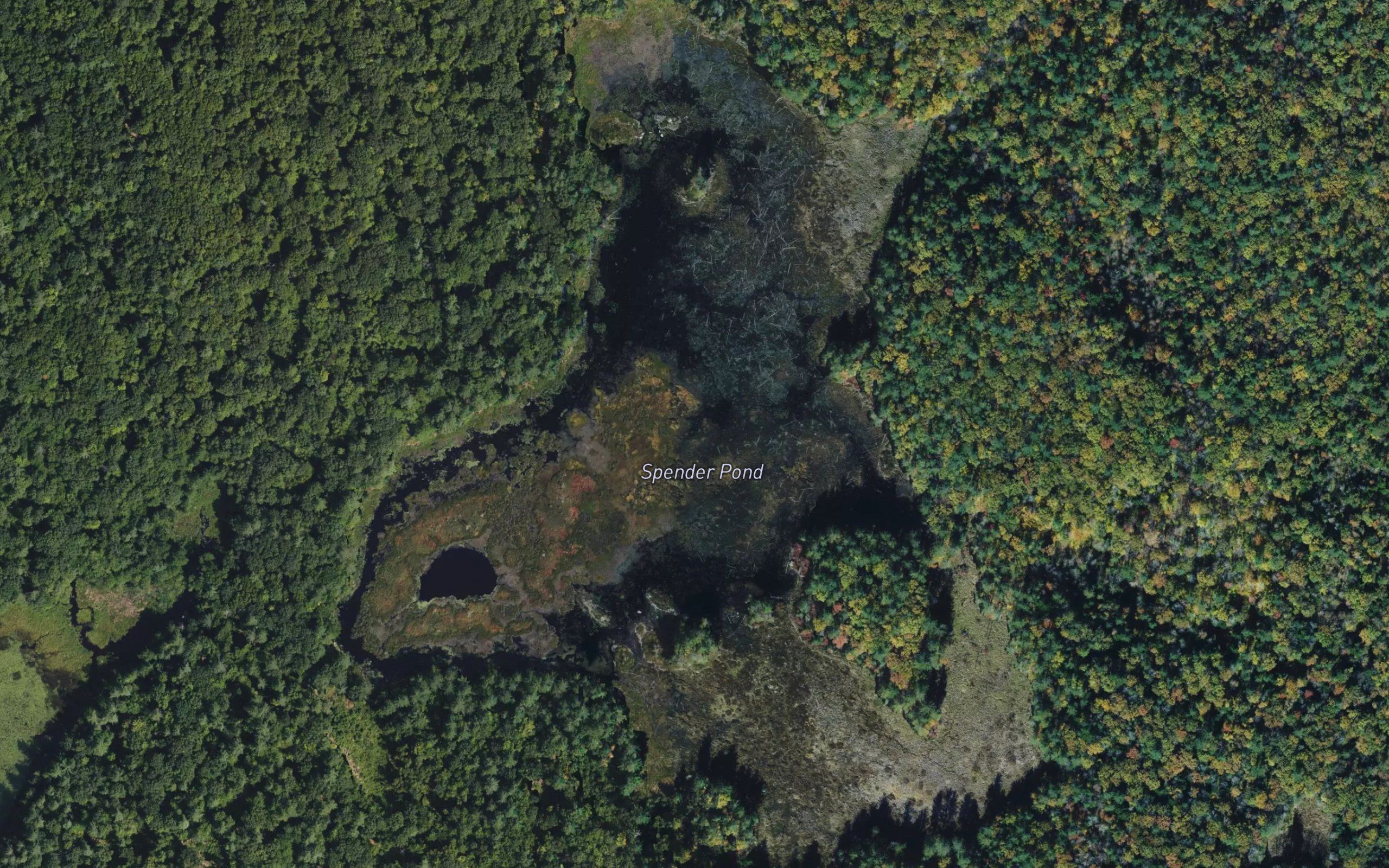 Spender Pond