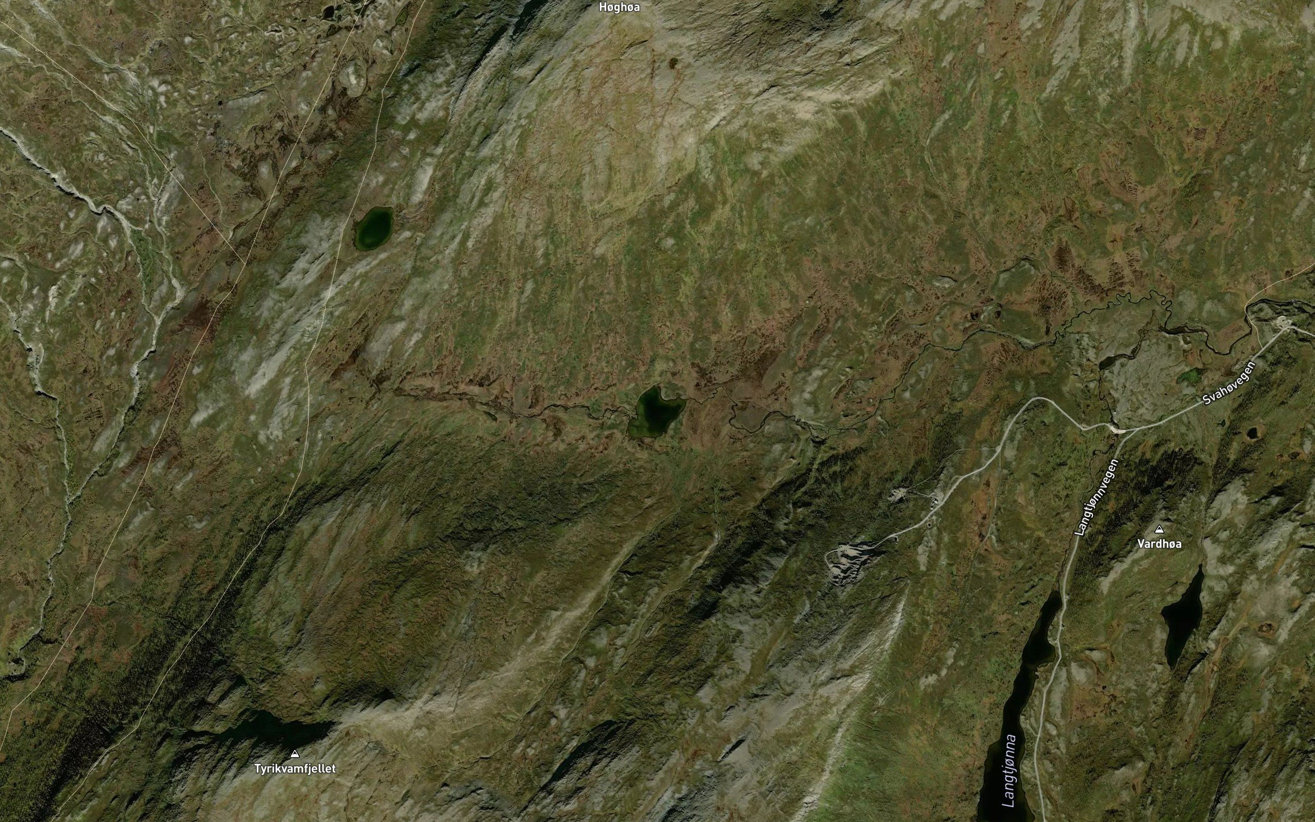 Grontjorna