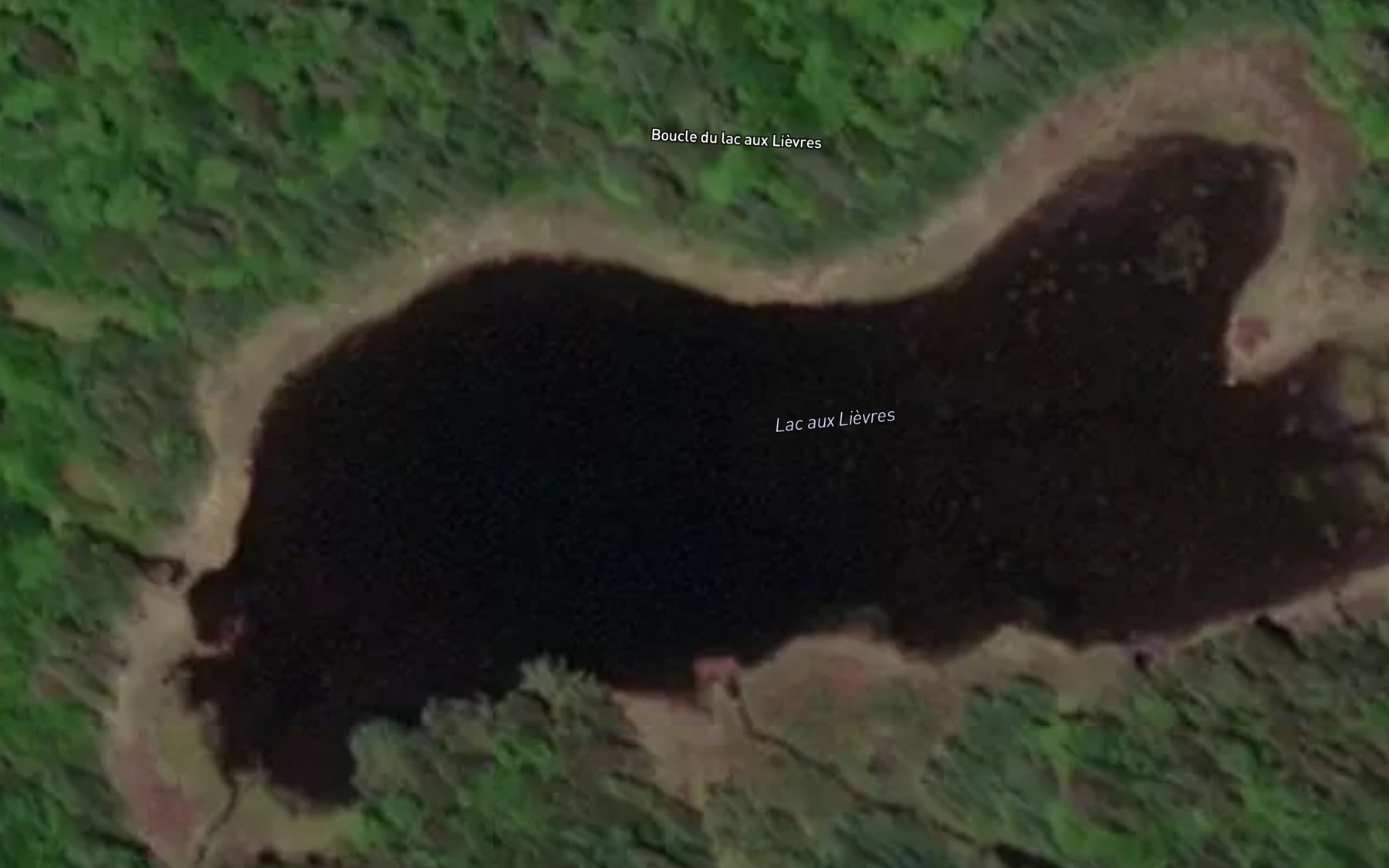 Satellite map of the Lac aux Lievres