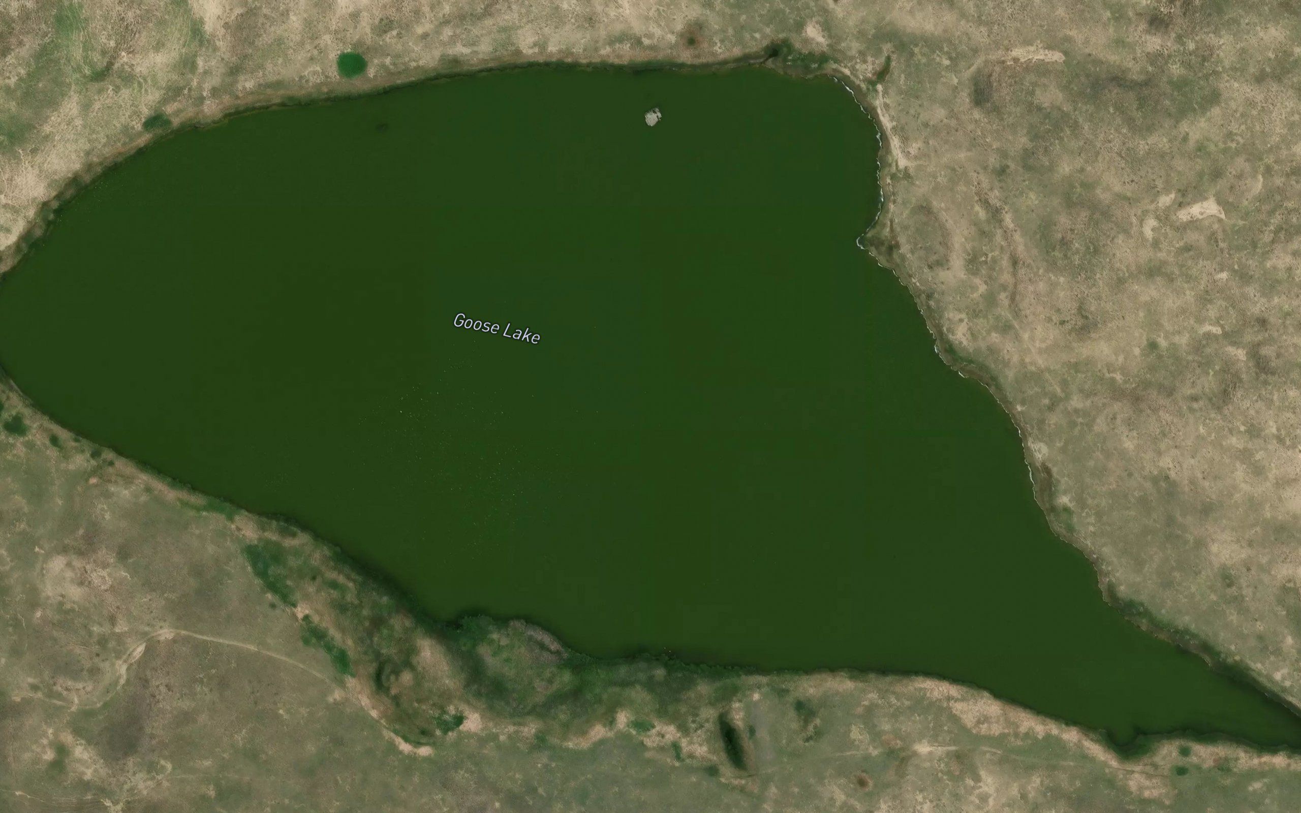 Goose Lake