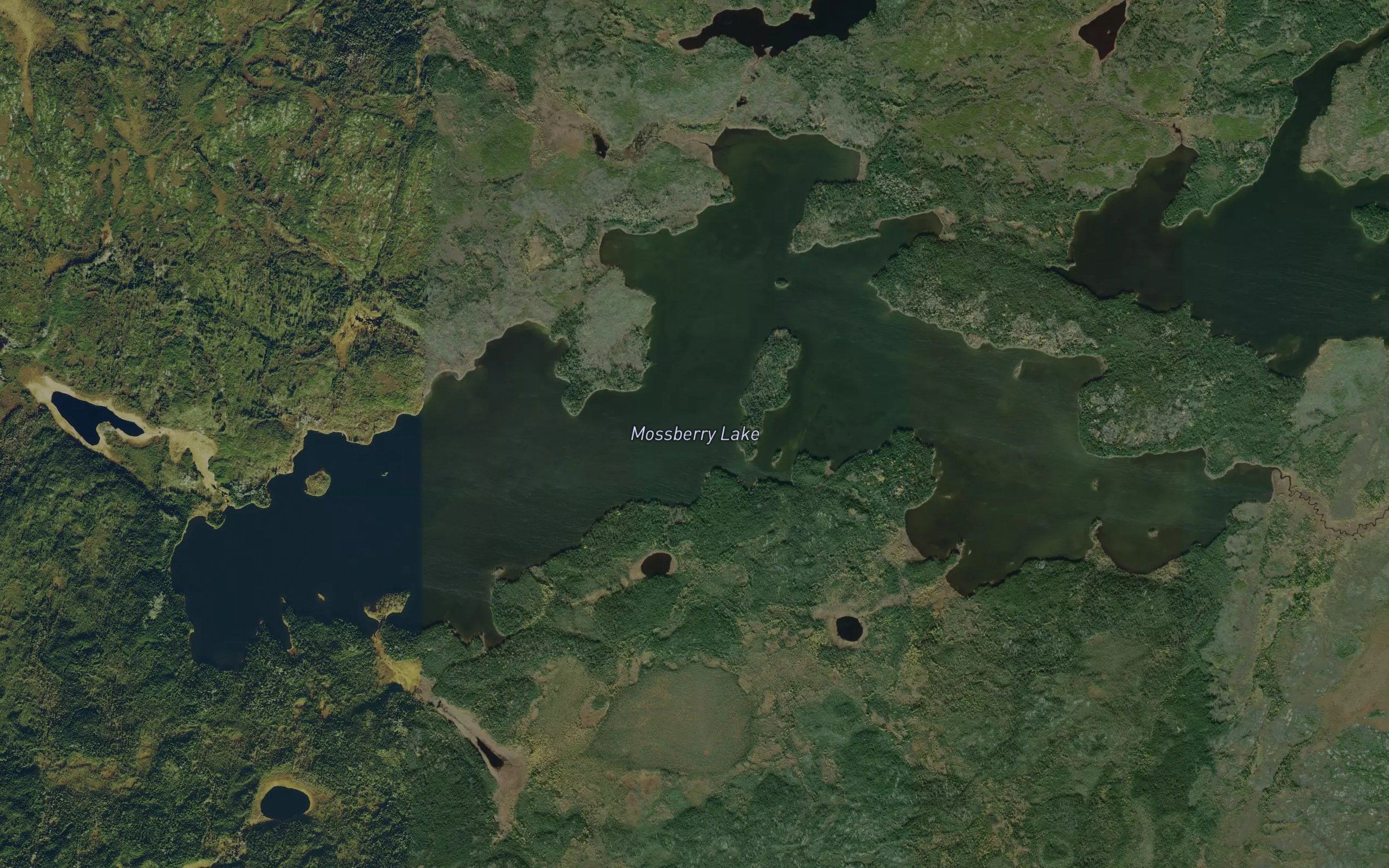 Mossberry Lake