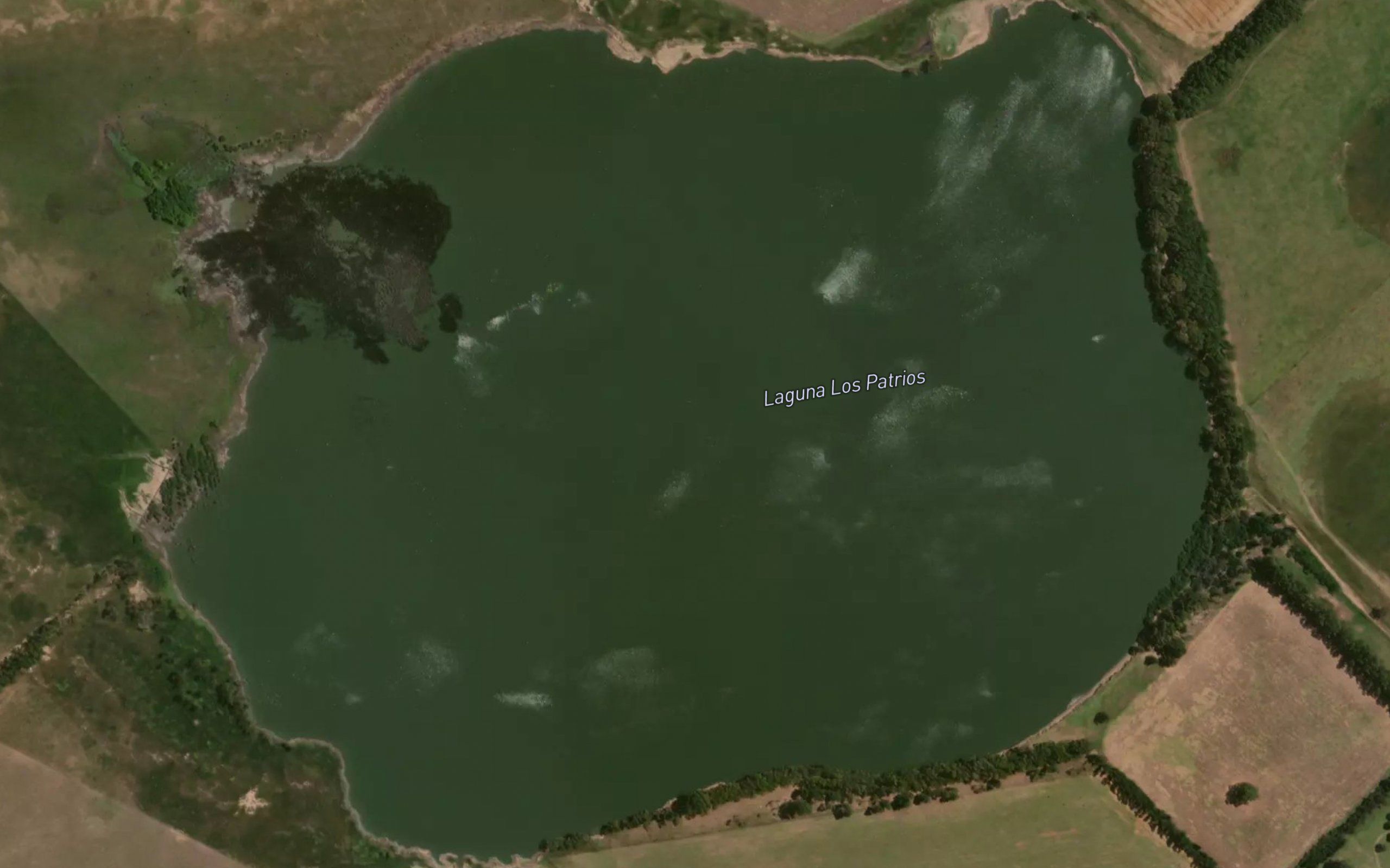Laguna Los Patrios