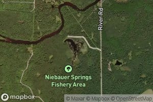 Niebauer Springs