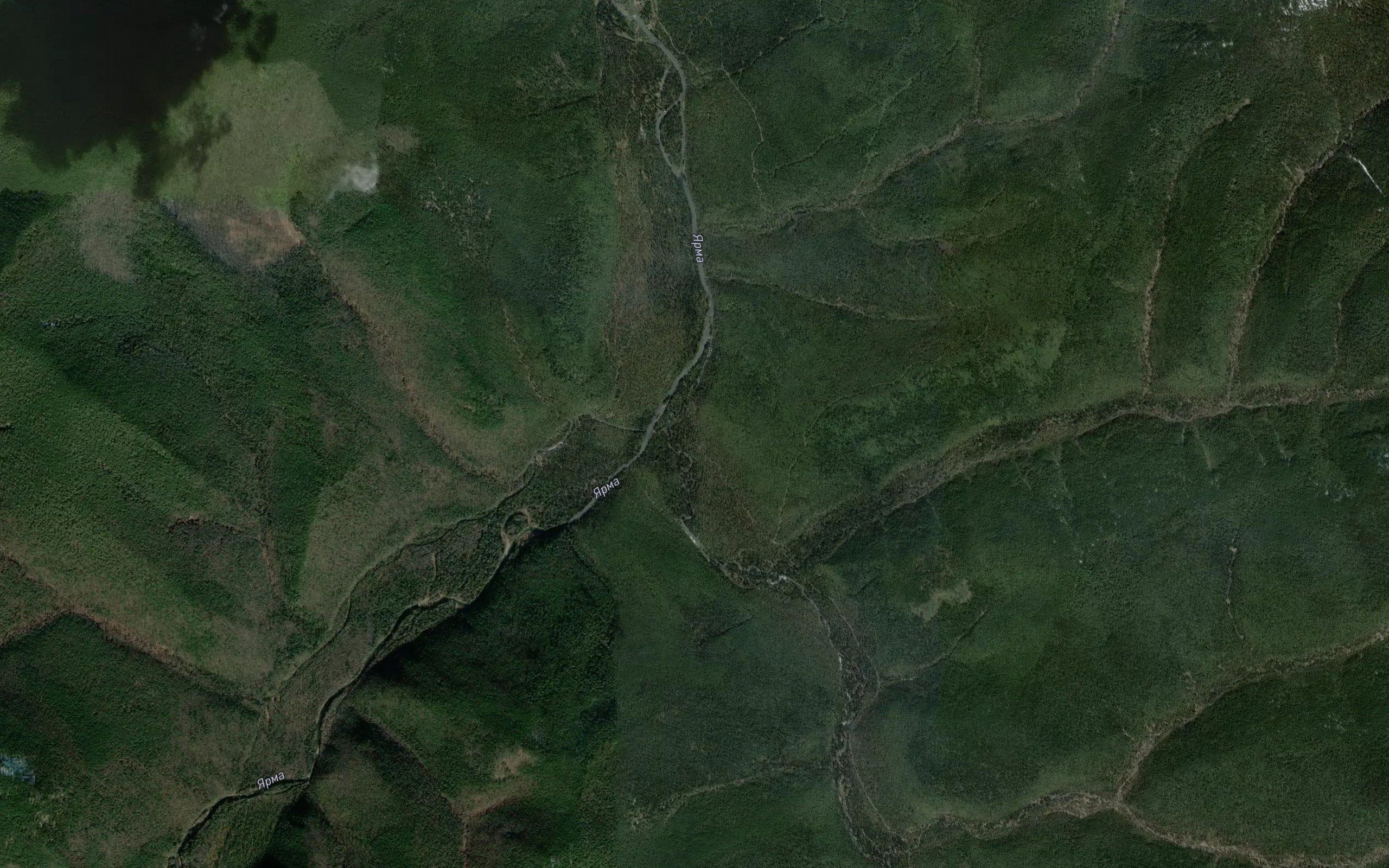 Aralgun