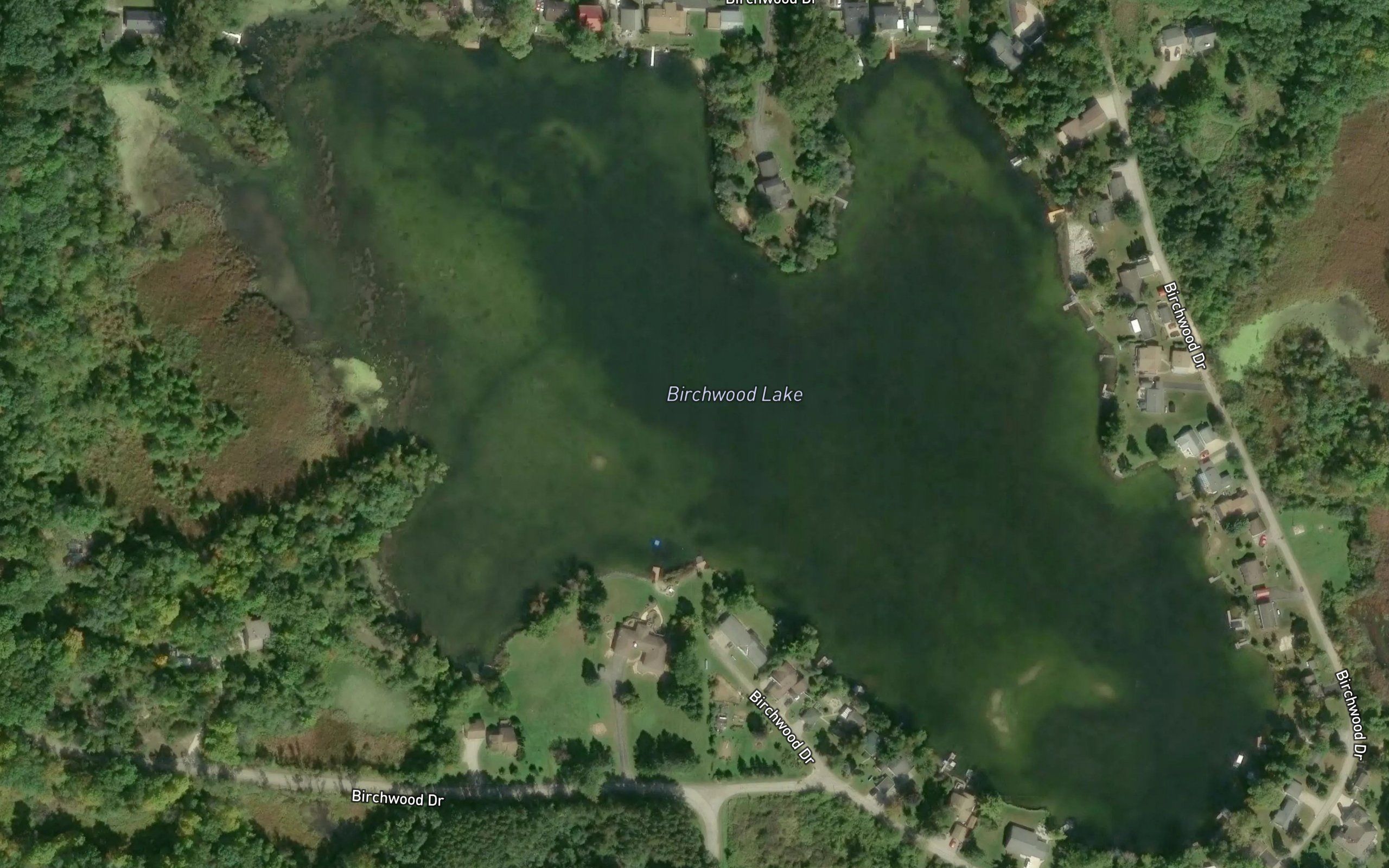 Birchwood Lake
