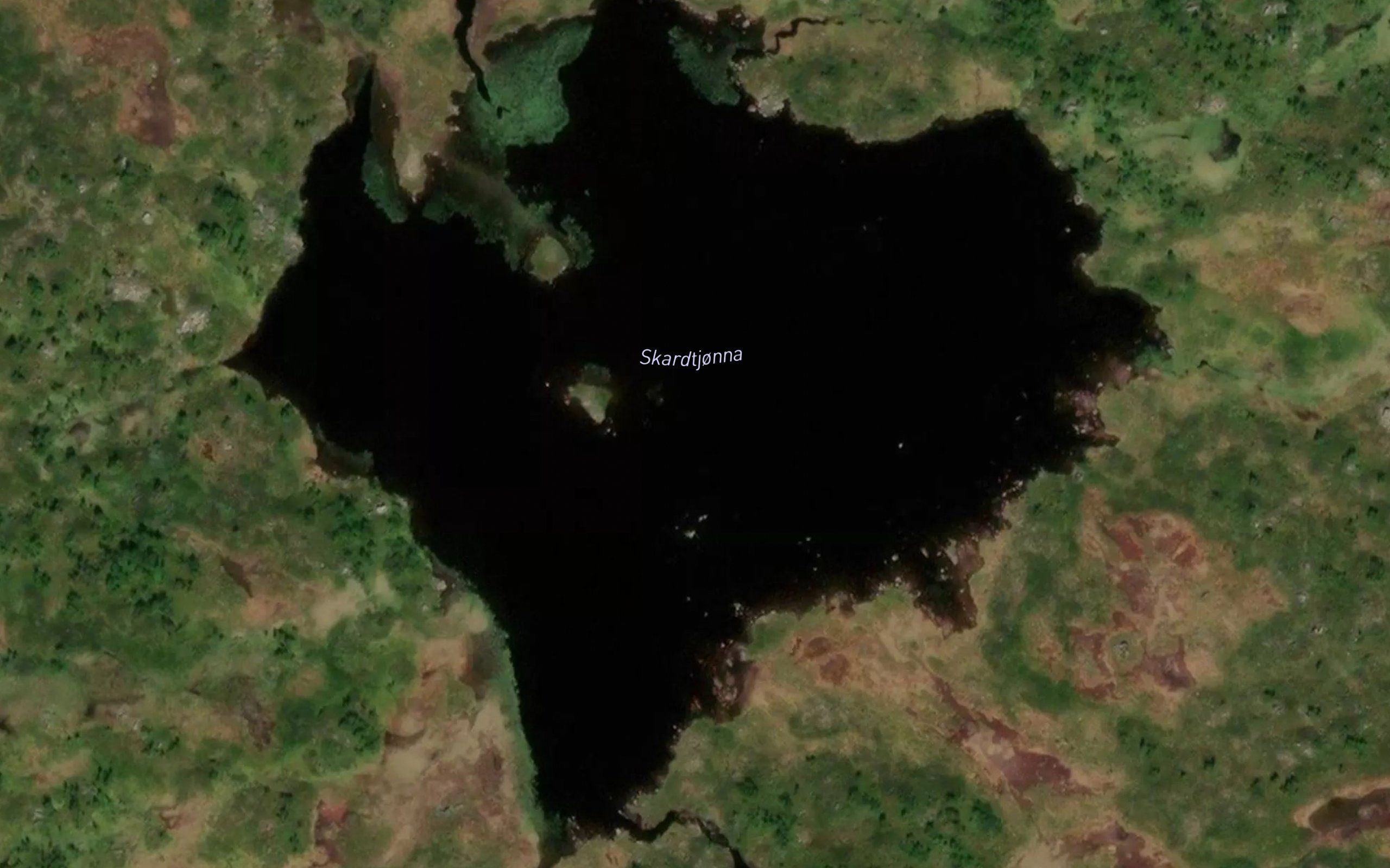 Skardtjorna