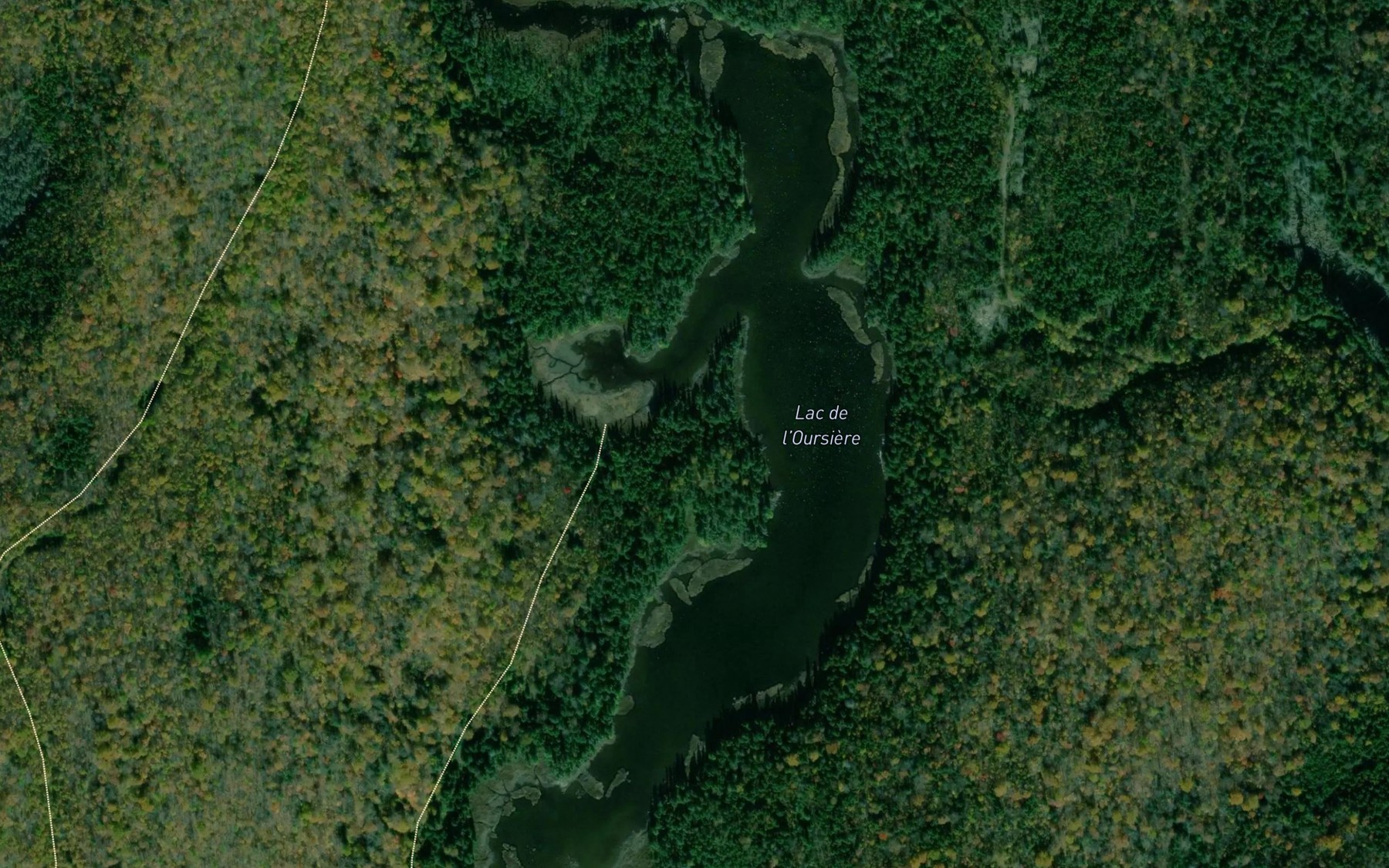 Satellite map of the Lac de l'Oursiere