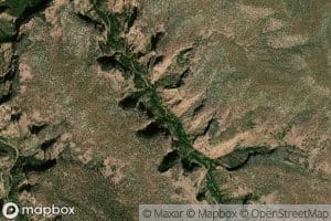 Elephant Grass Spring