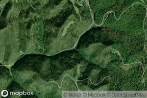 Bearwallow Branch