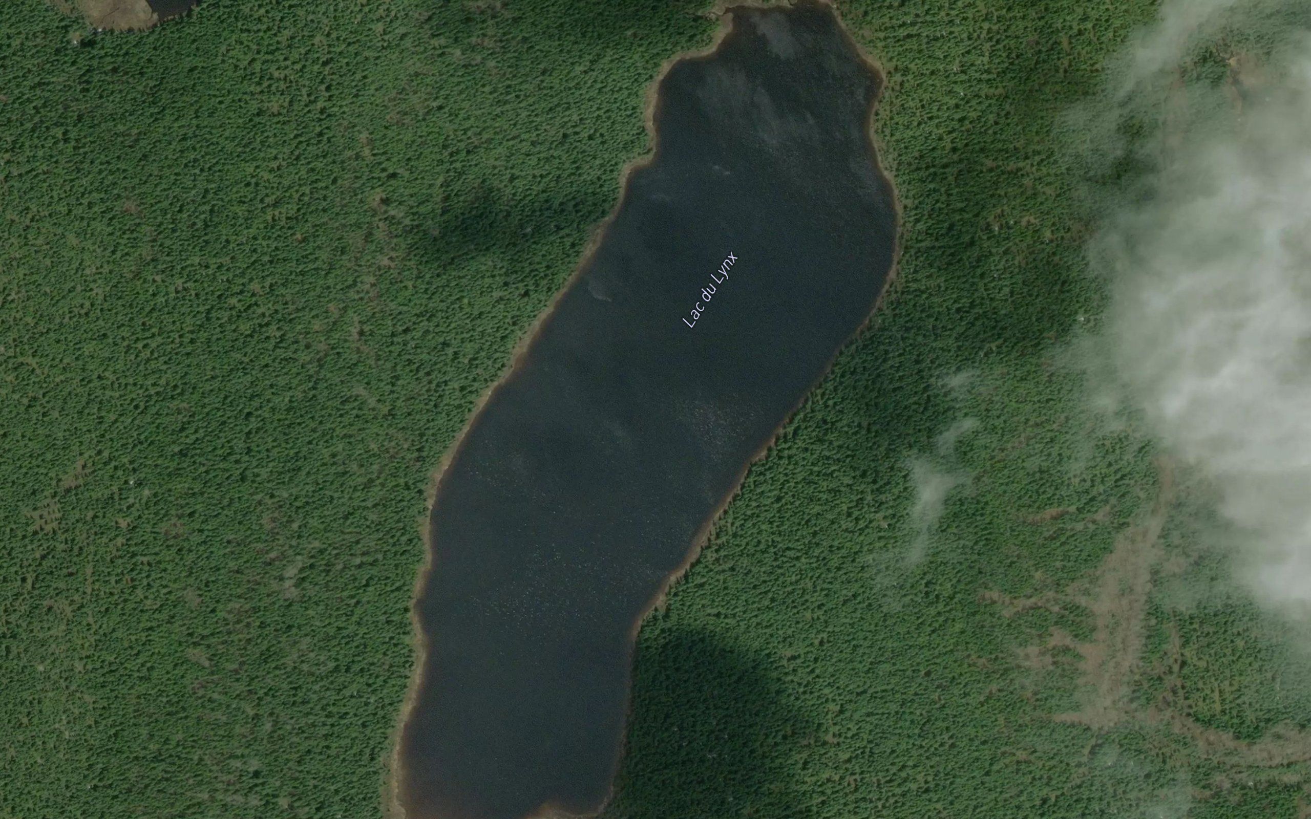 Lac du Lynx