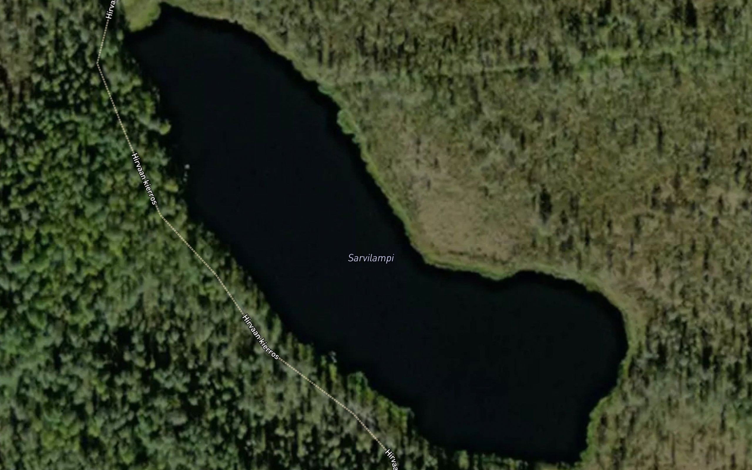 Sarvilampi