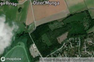 Mungasjon