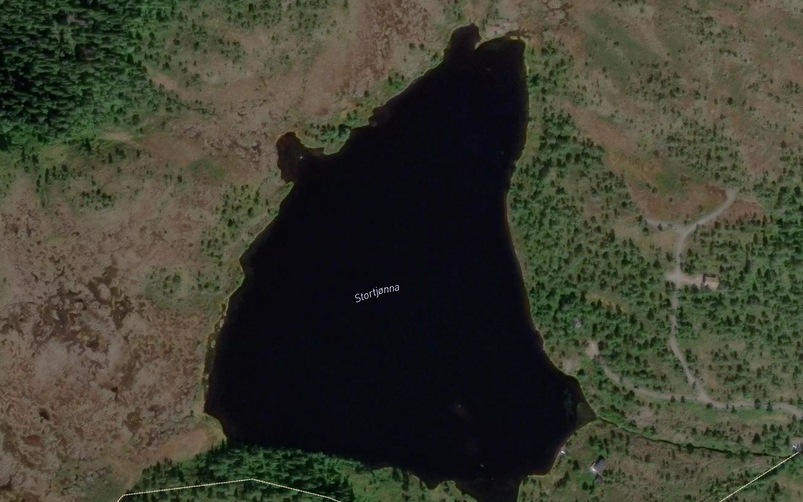 Stortjorna