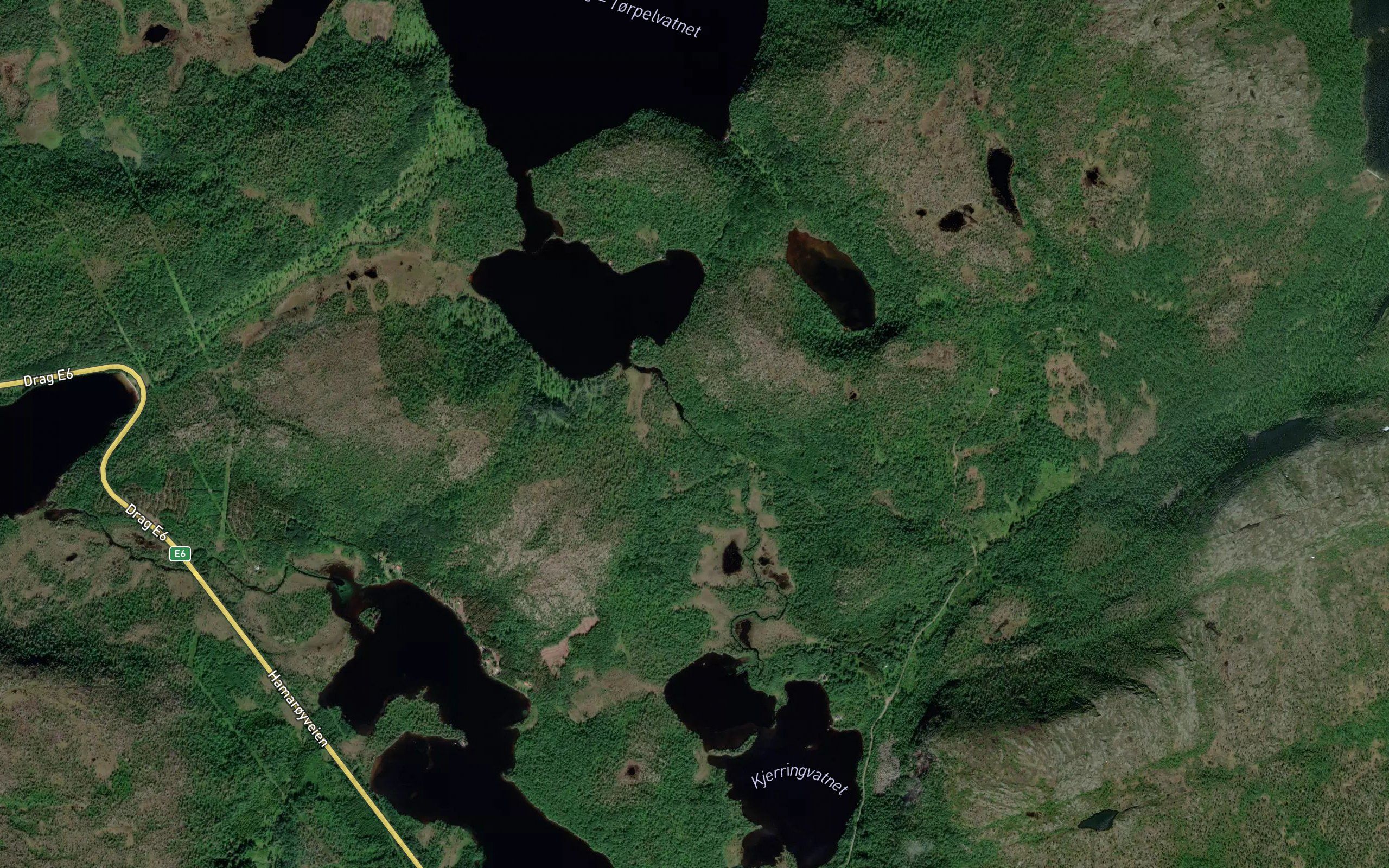 Torpelvasselva