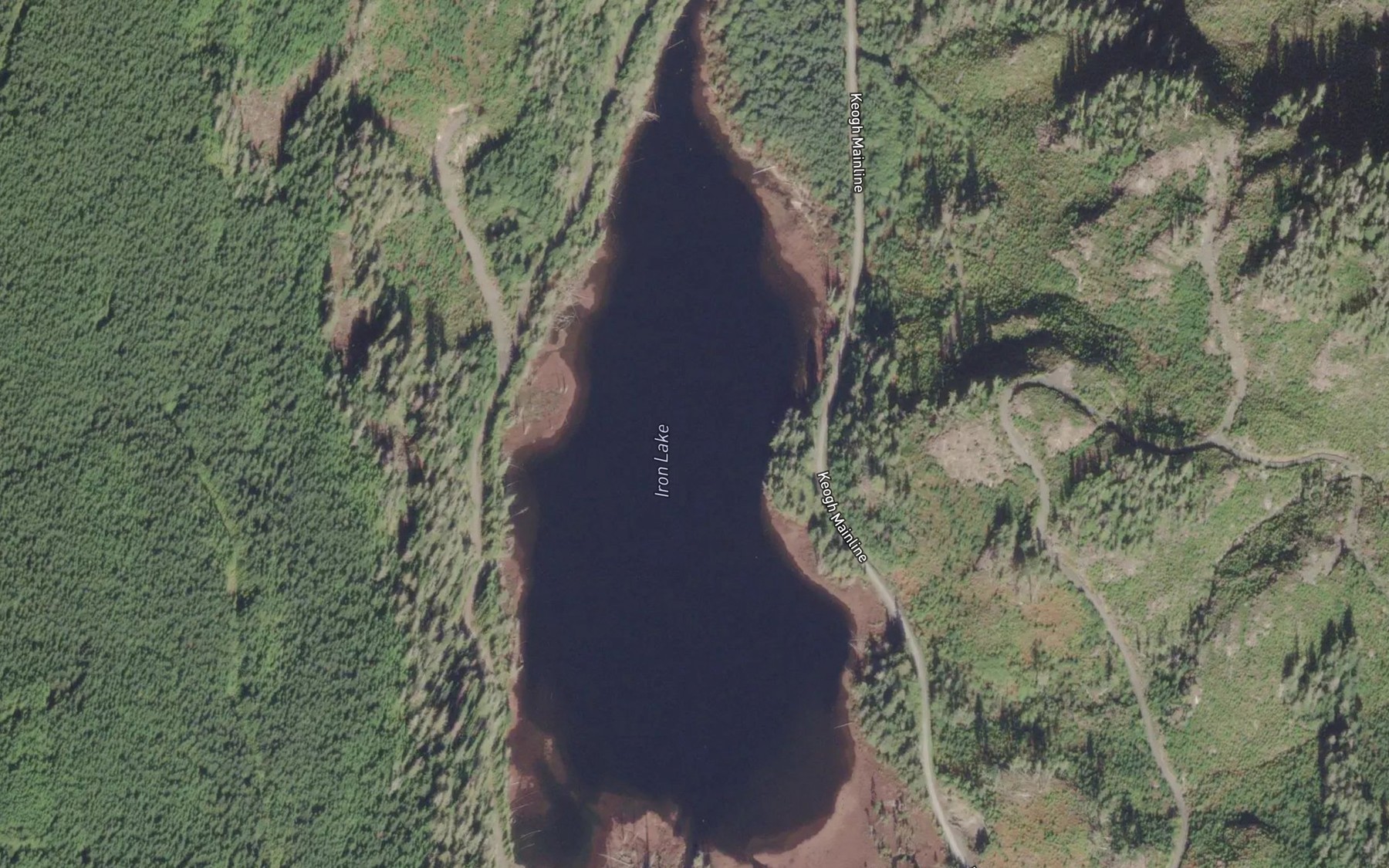 Satellite map of the Iron Lake