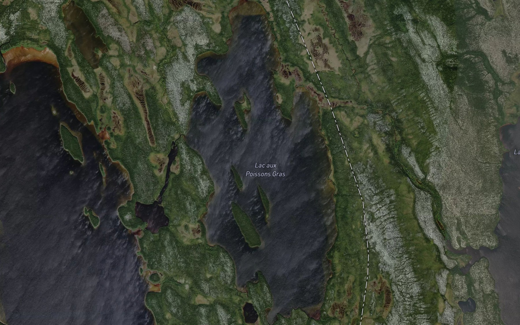 Satellite map of the Lac aux Poissons Gras