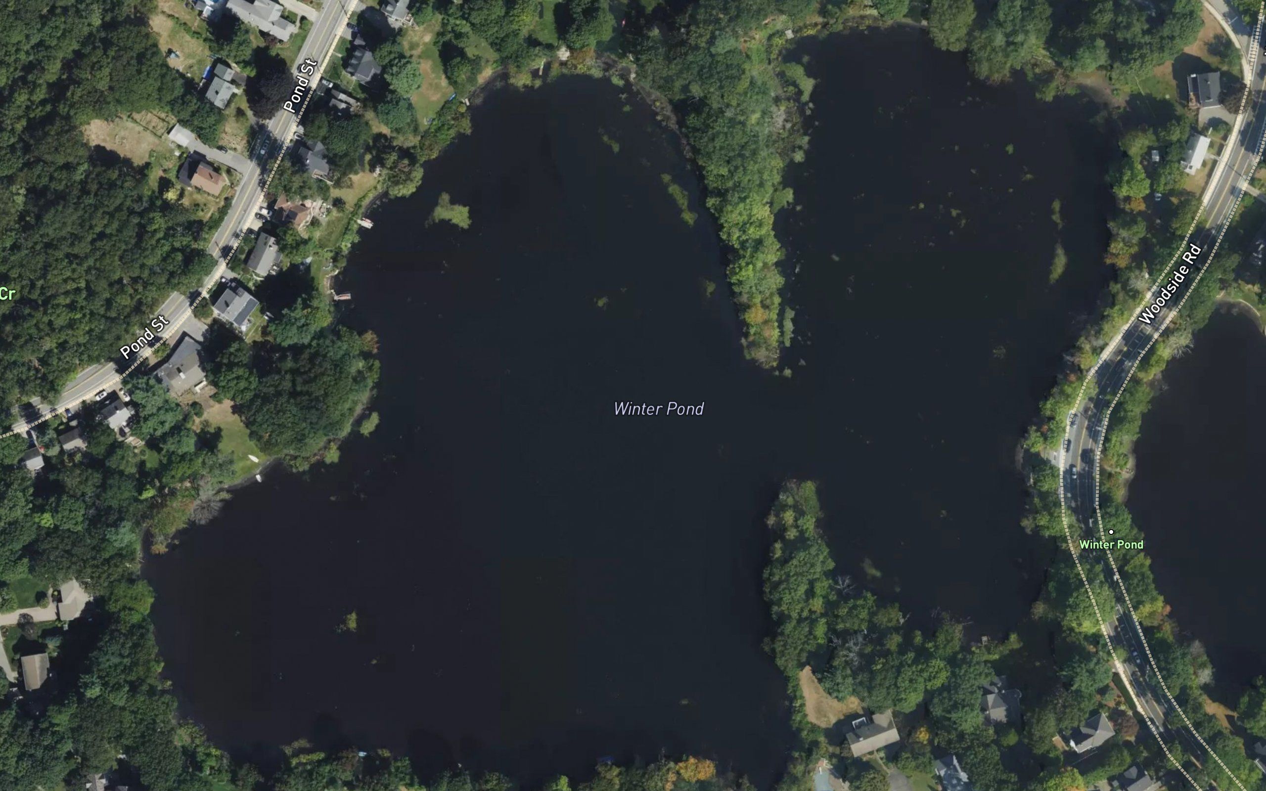 Winter Pond