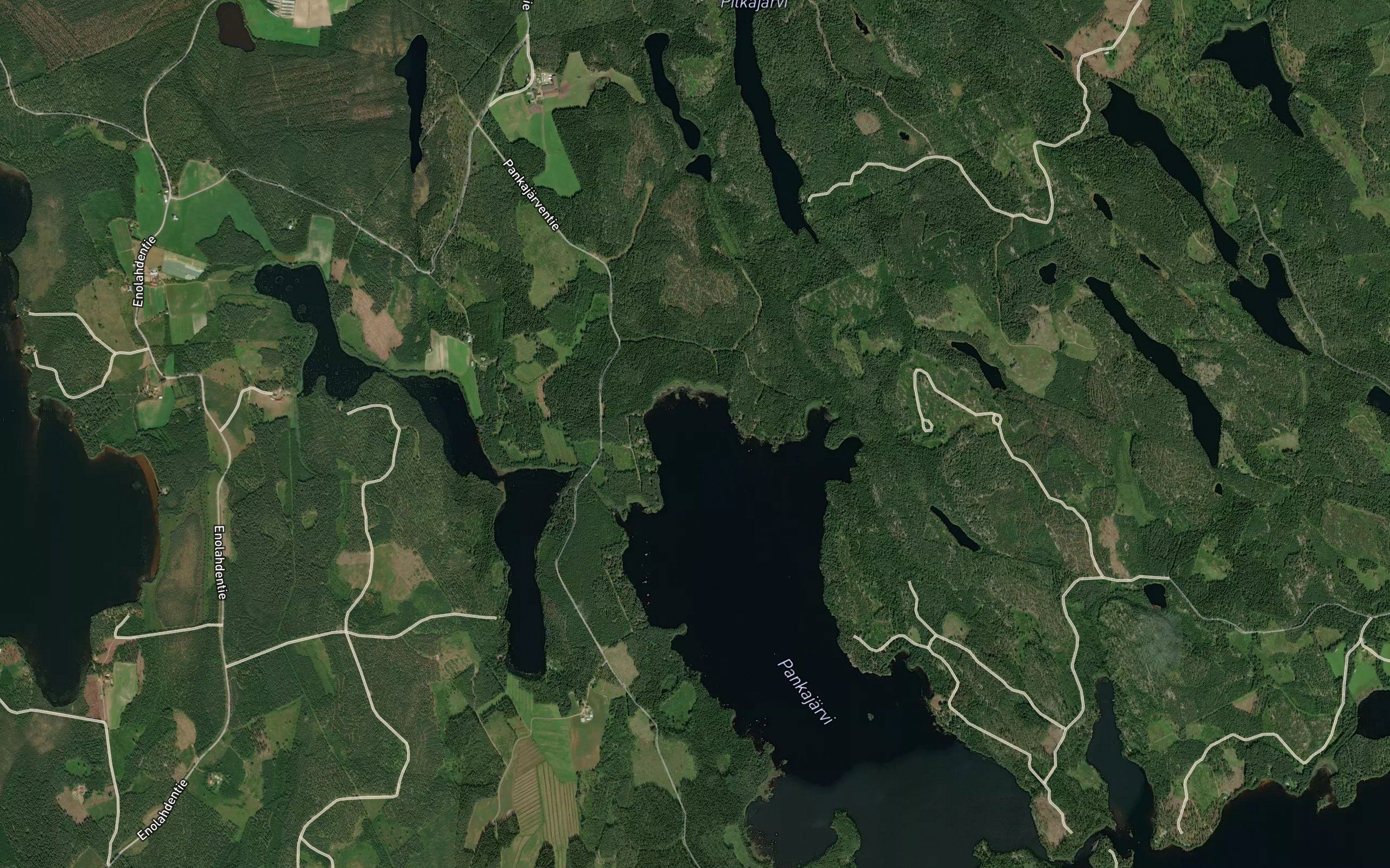 Levialahti