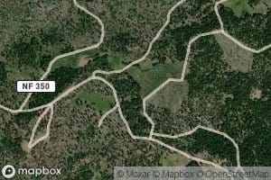 Trail Spring