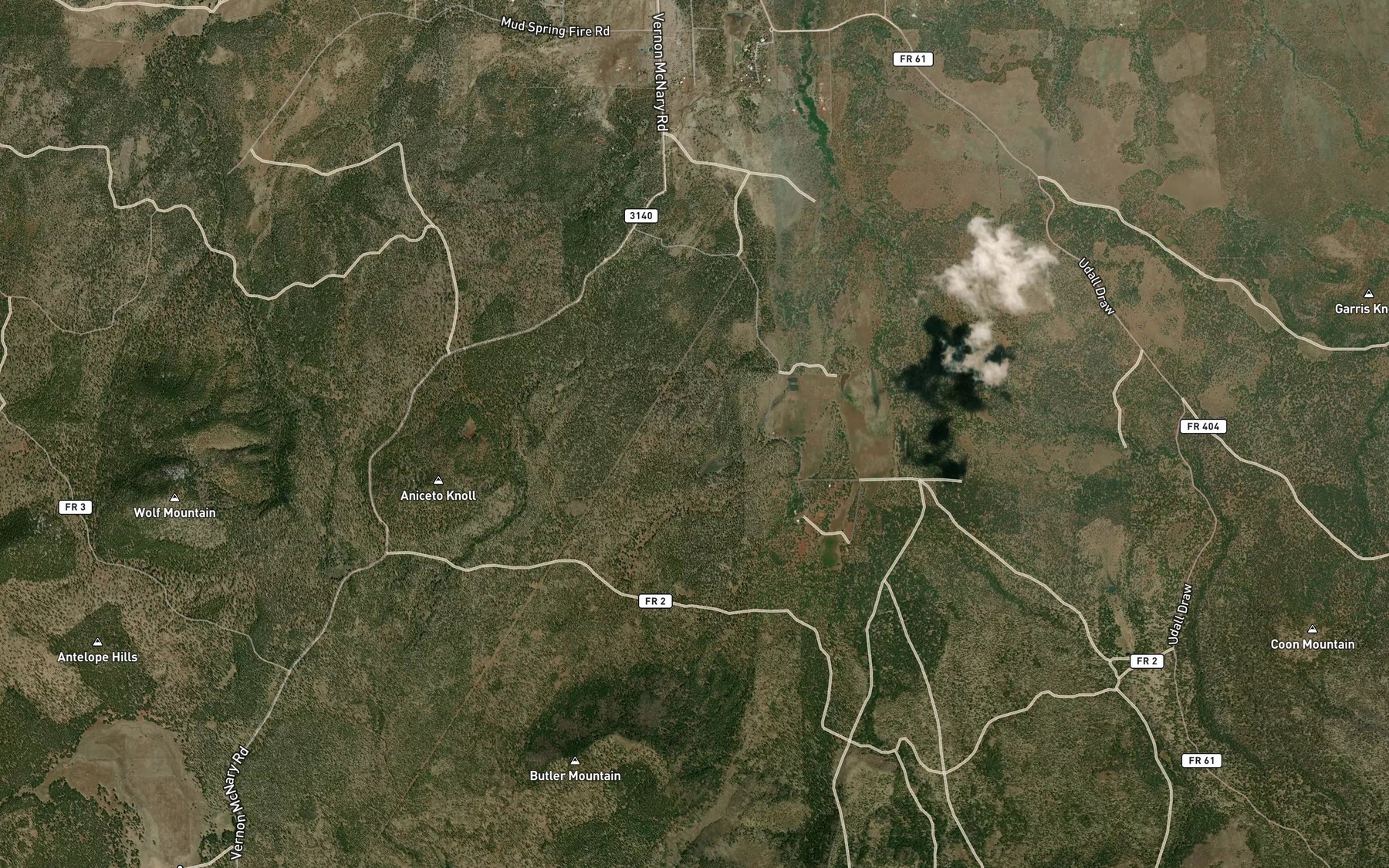 Satellite map of the Goodman Spring