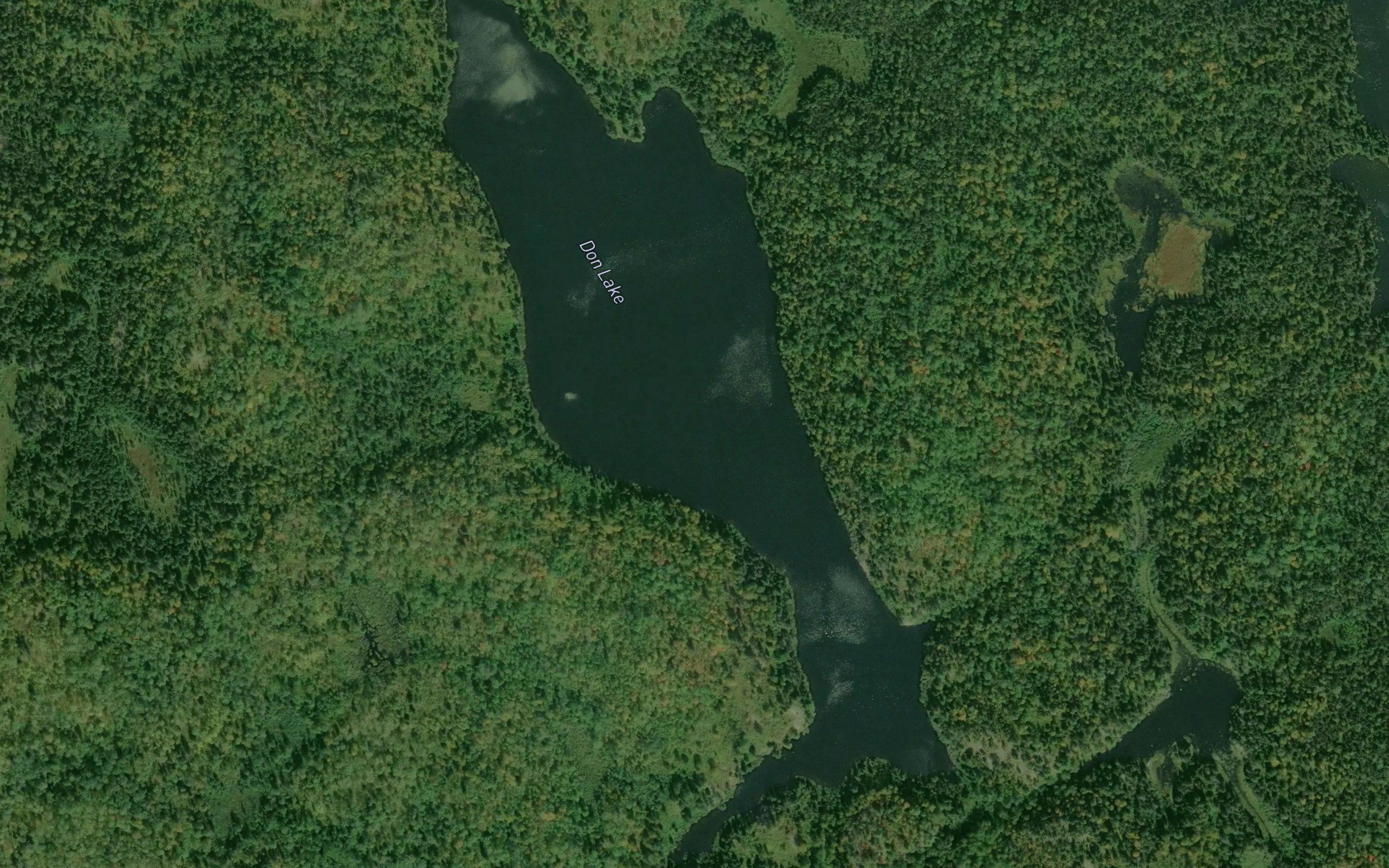 Don Lake