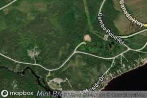 Mint Brook