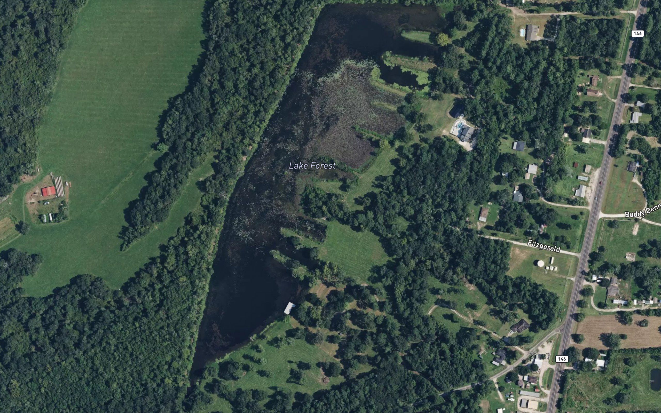 Lake Forest