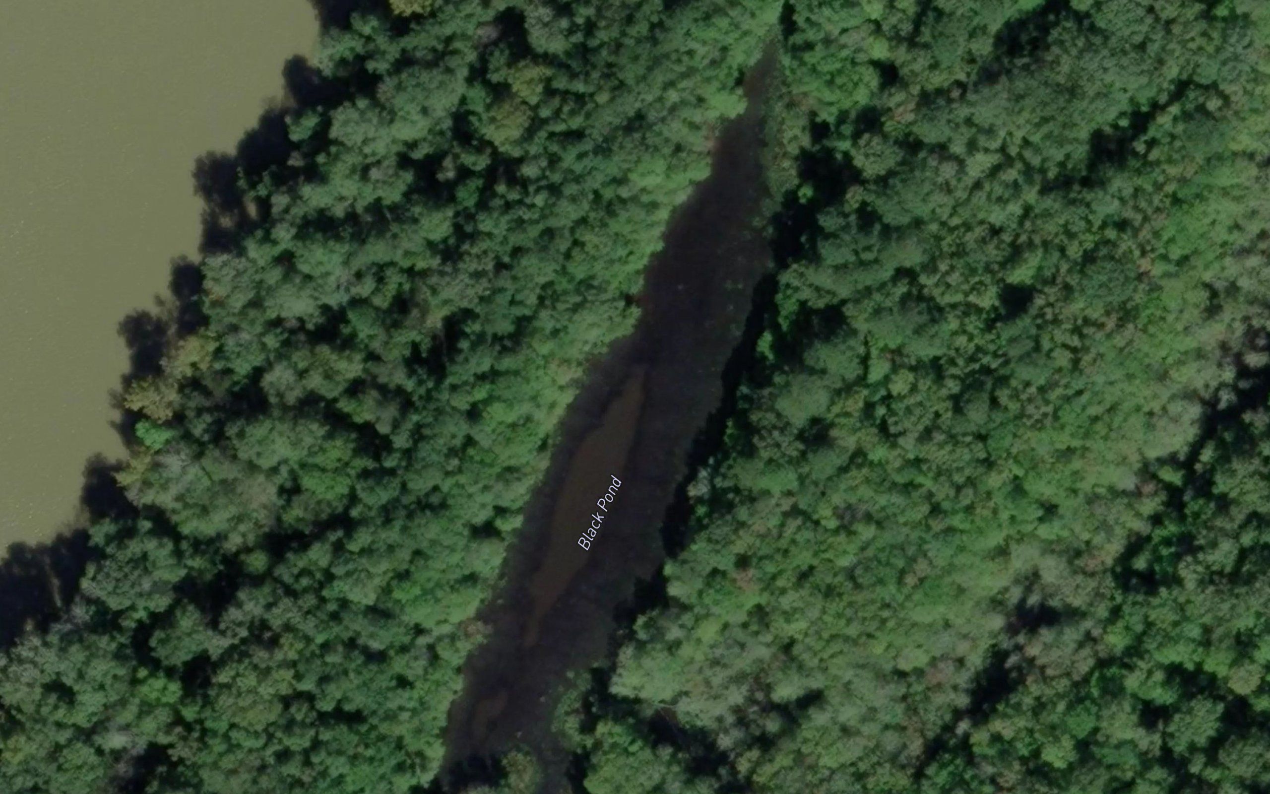 Black Pond