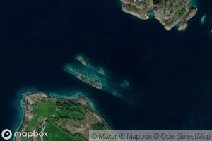 Skjavika