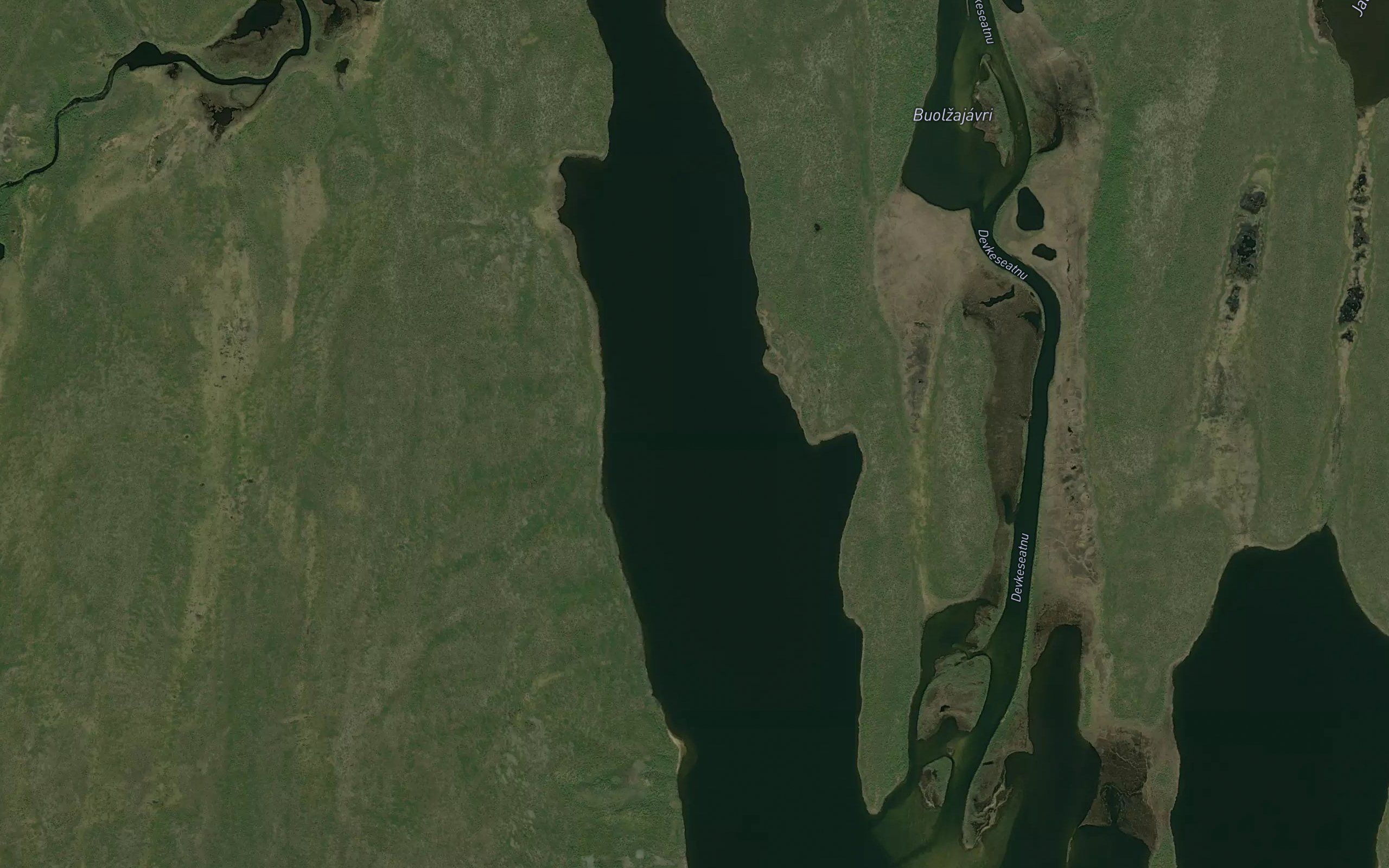 Dierbajavri