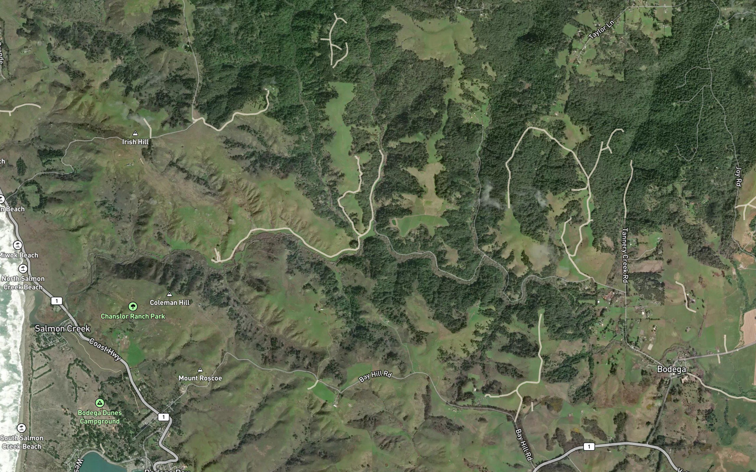Coleman Valley Creek