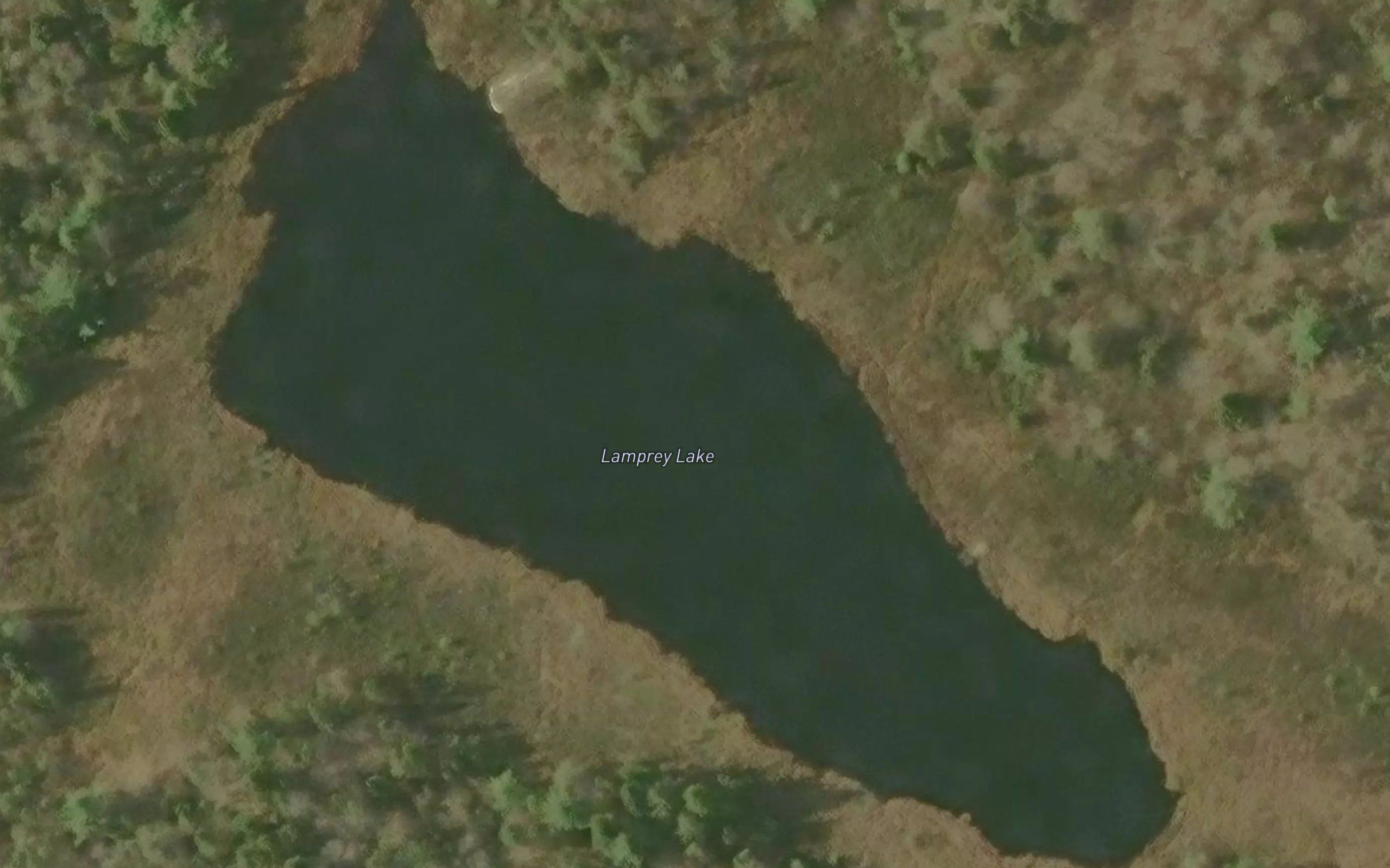 Lamprey Lake