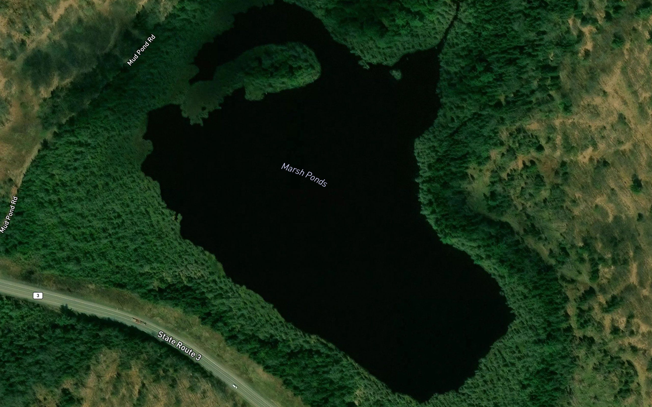 Marsh Ponds