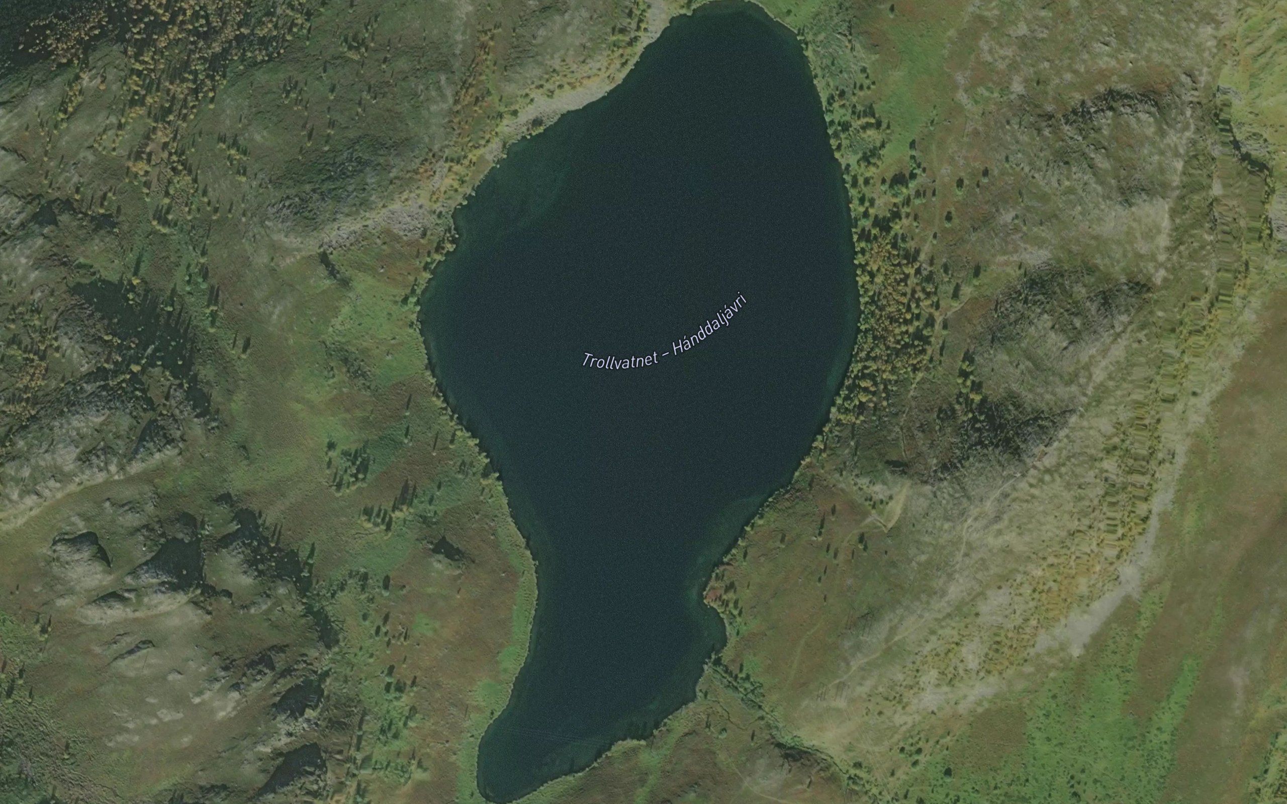 Handaljavri