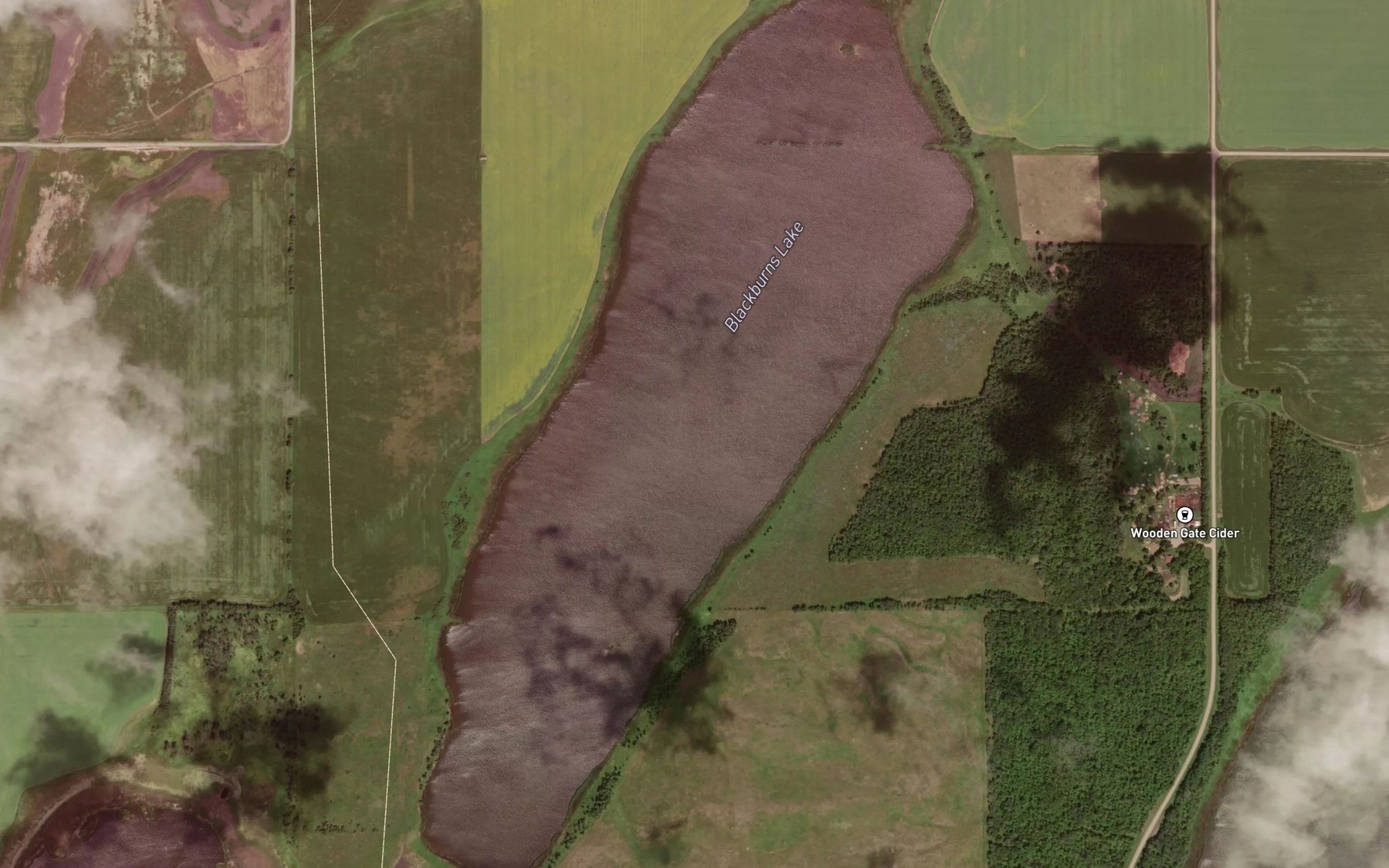 Satellite map of the Blackburns Lake