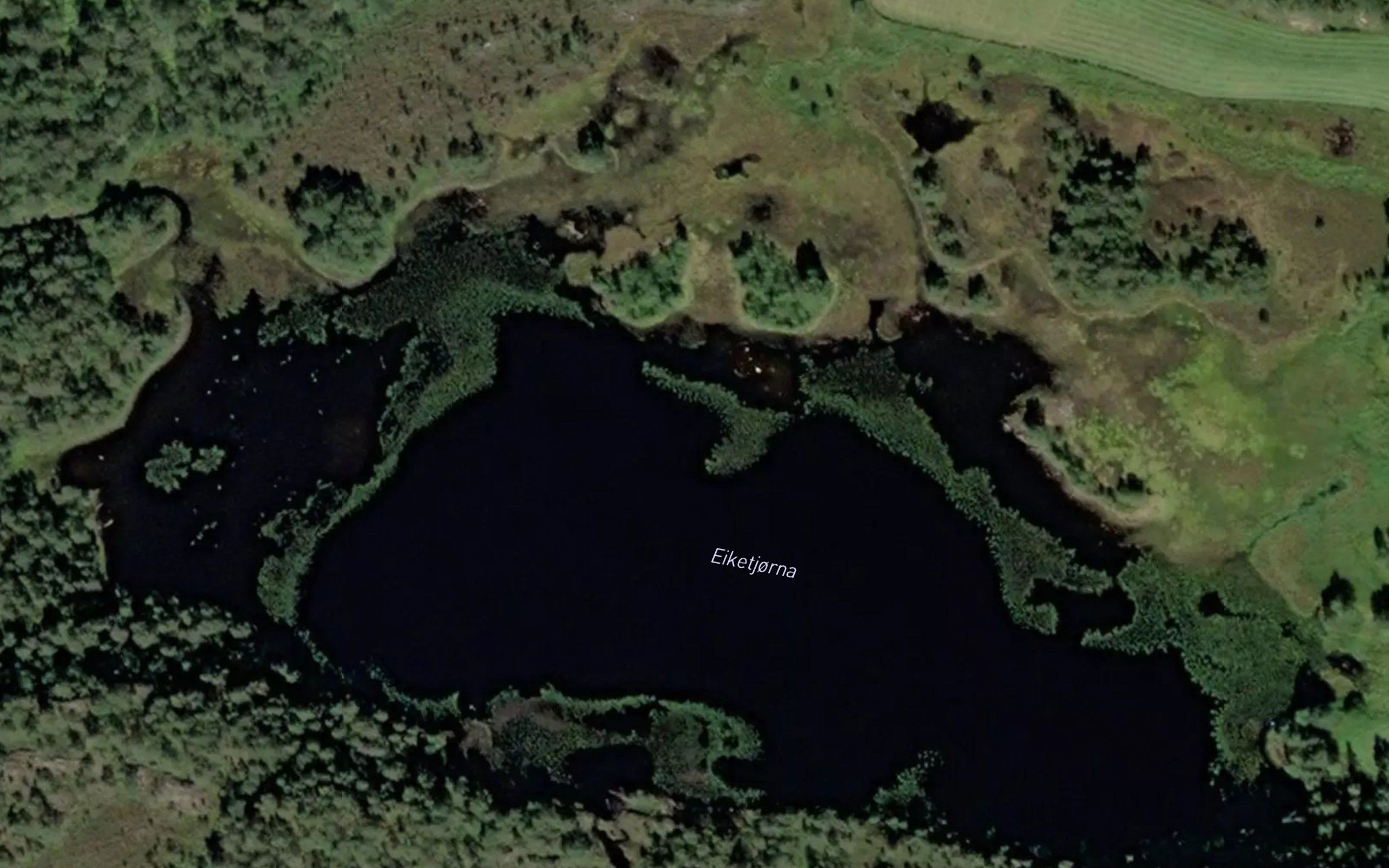 Eiketjorna