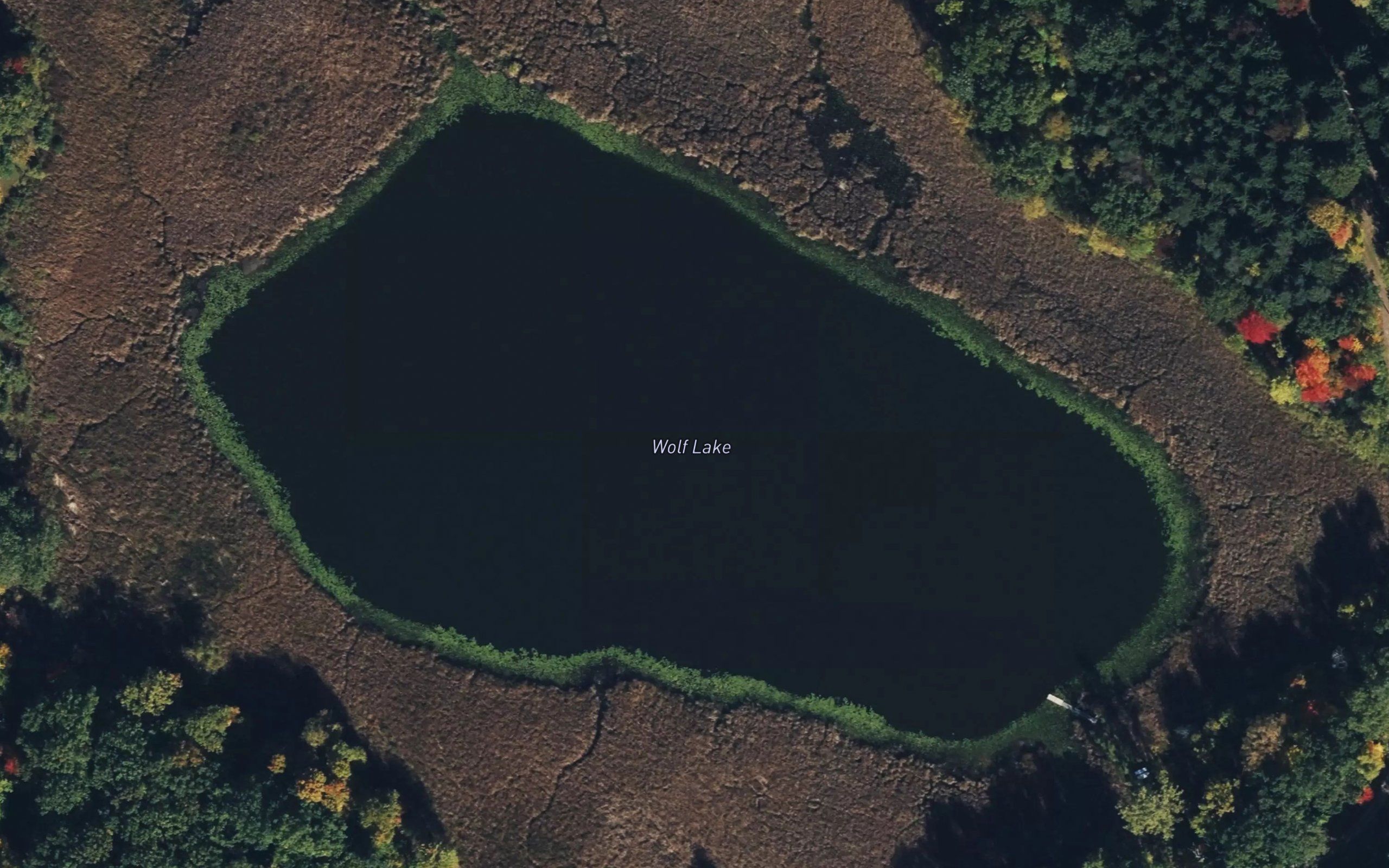 Wolf Lake