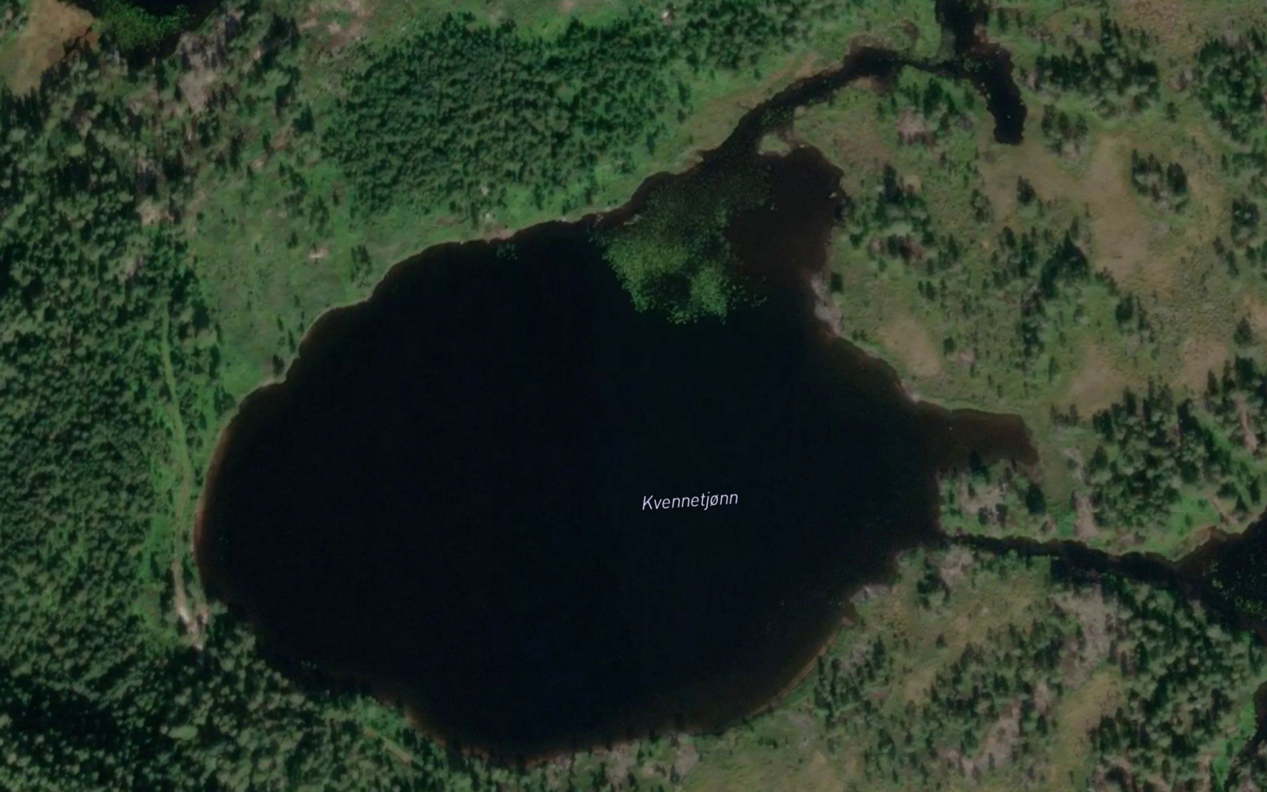 Kvennetjonn