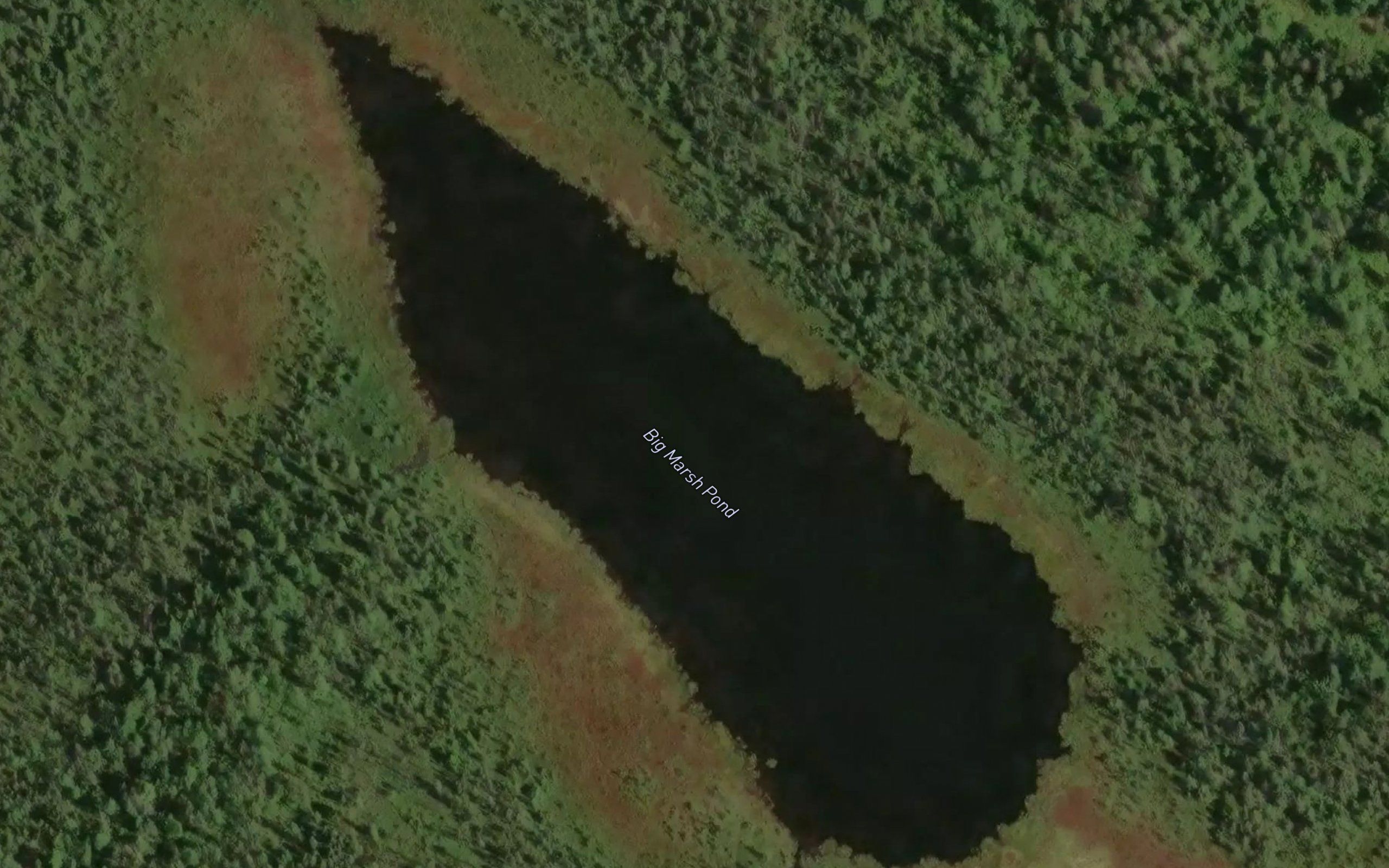 Big Marsh Pond