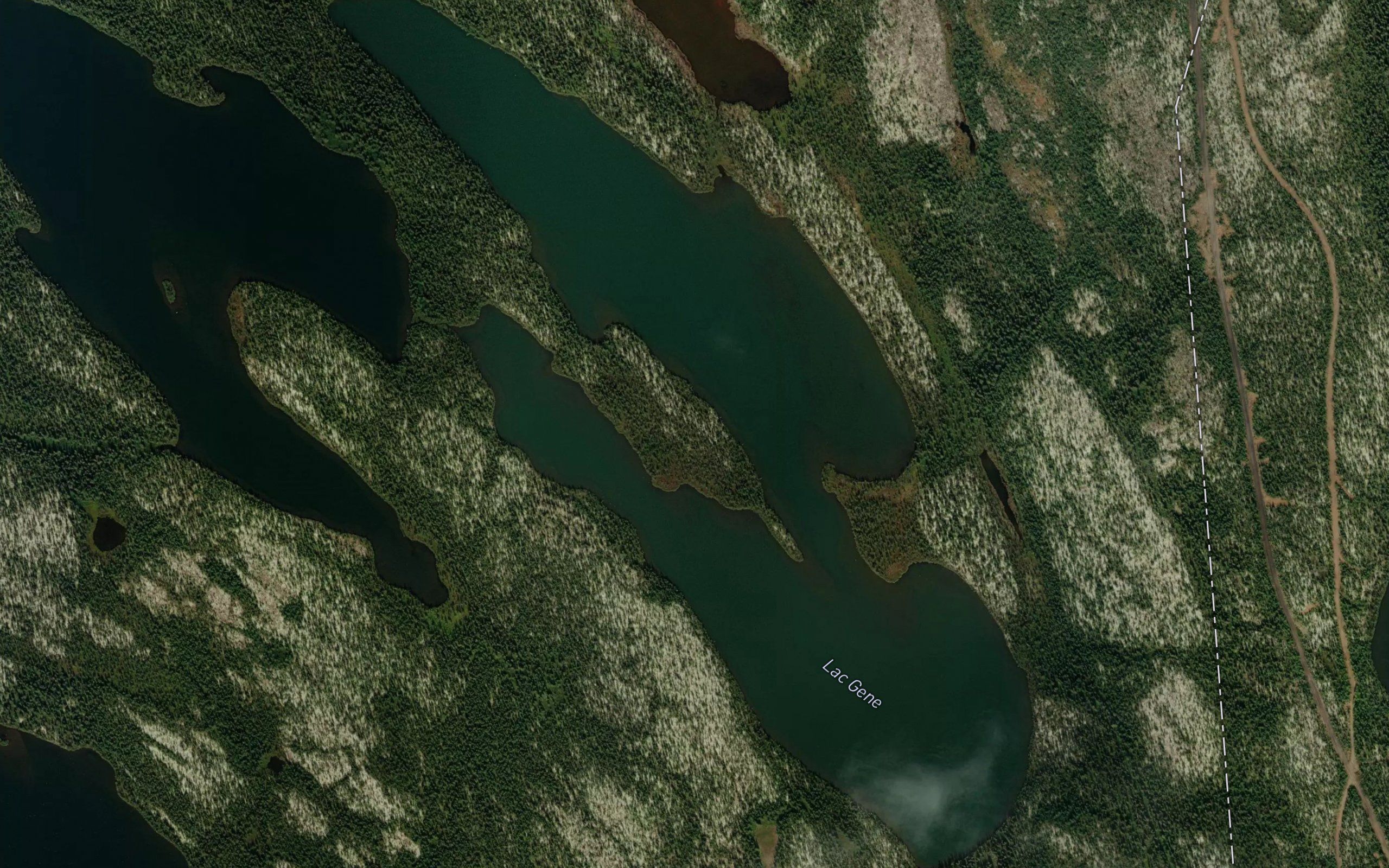 Lac Gene
