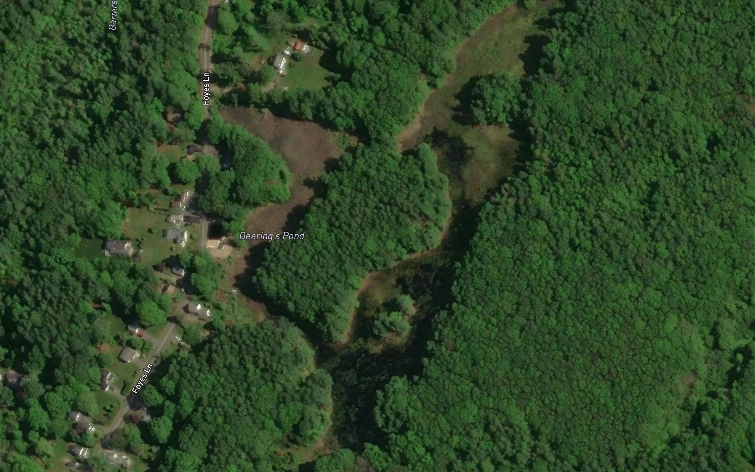 Deerings Pond