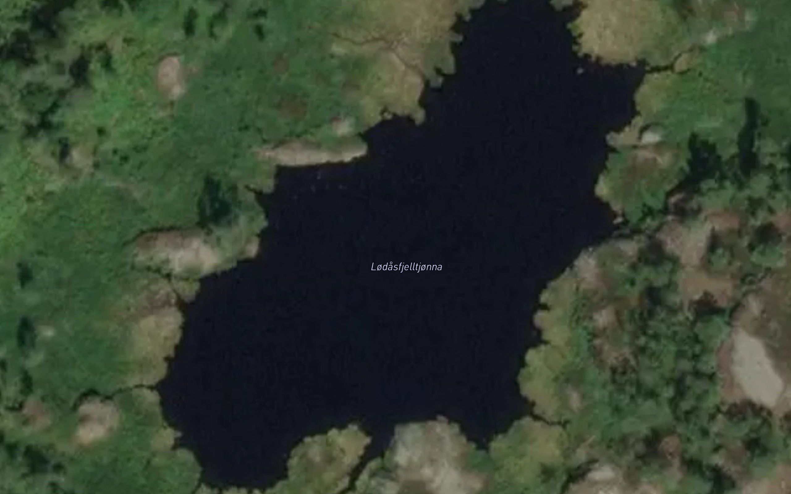 Lodasfjelltjonna