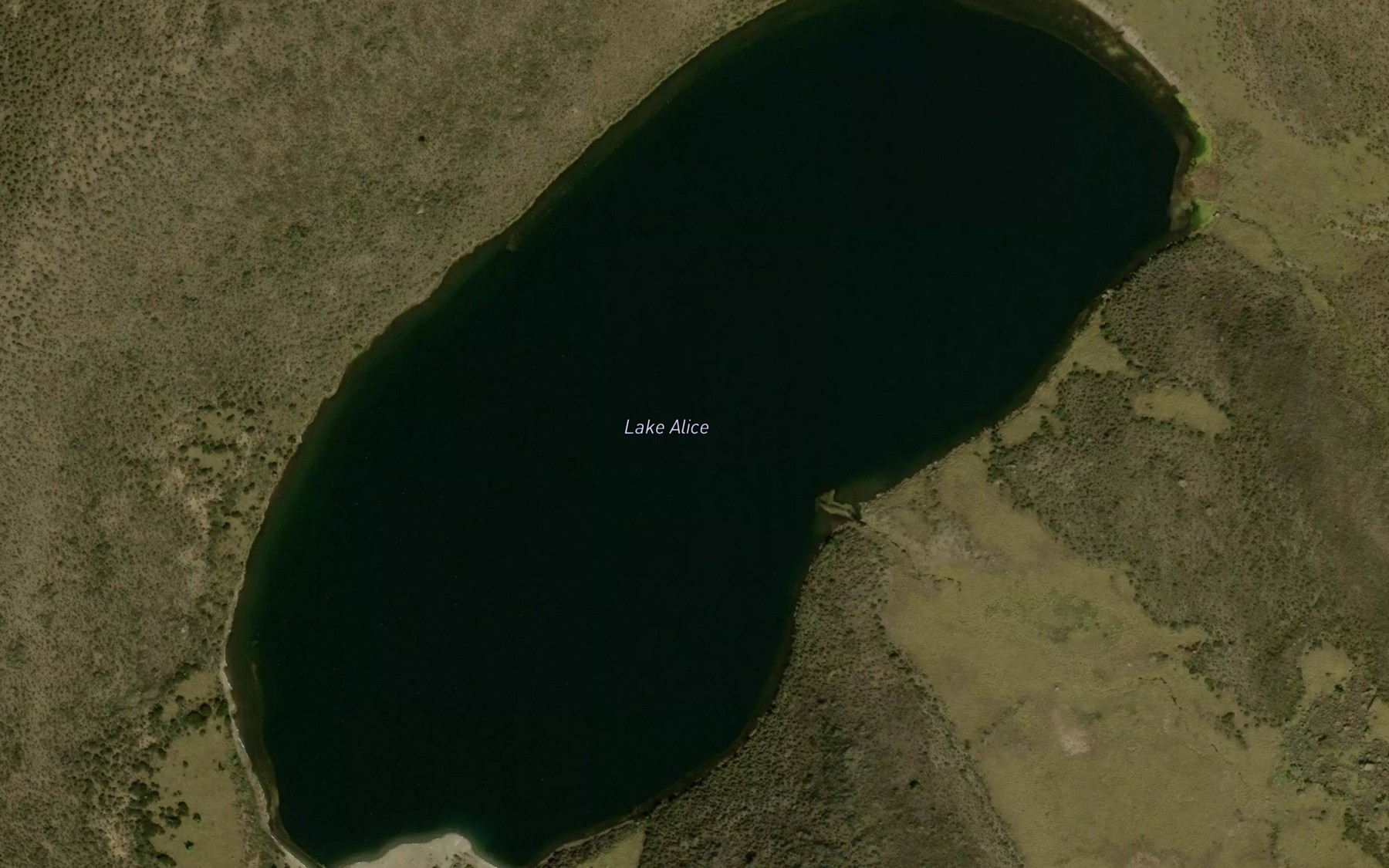 Satellite map of the Lake Alice