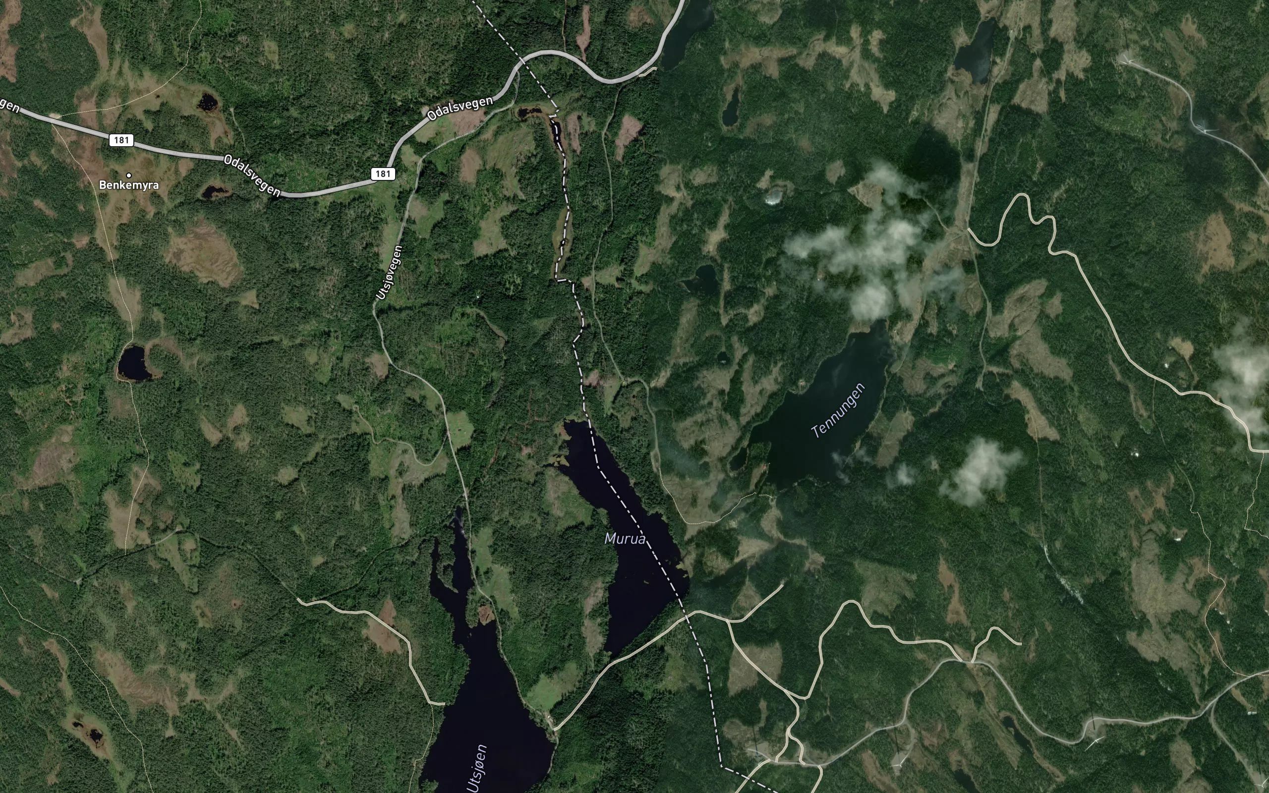 Karitjennet