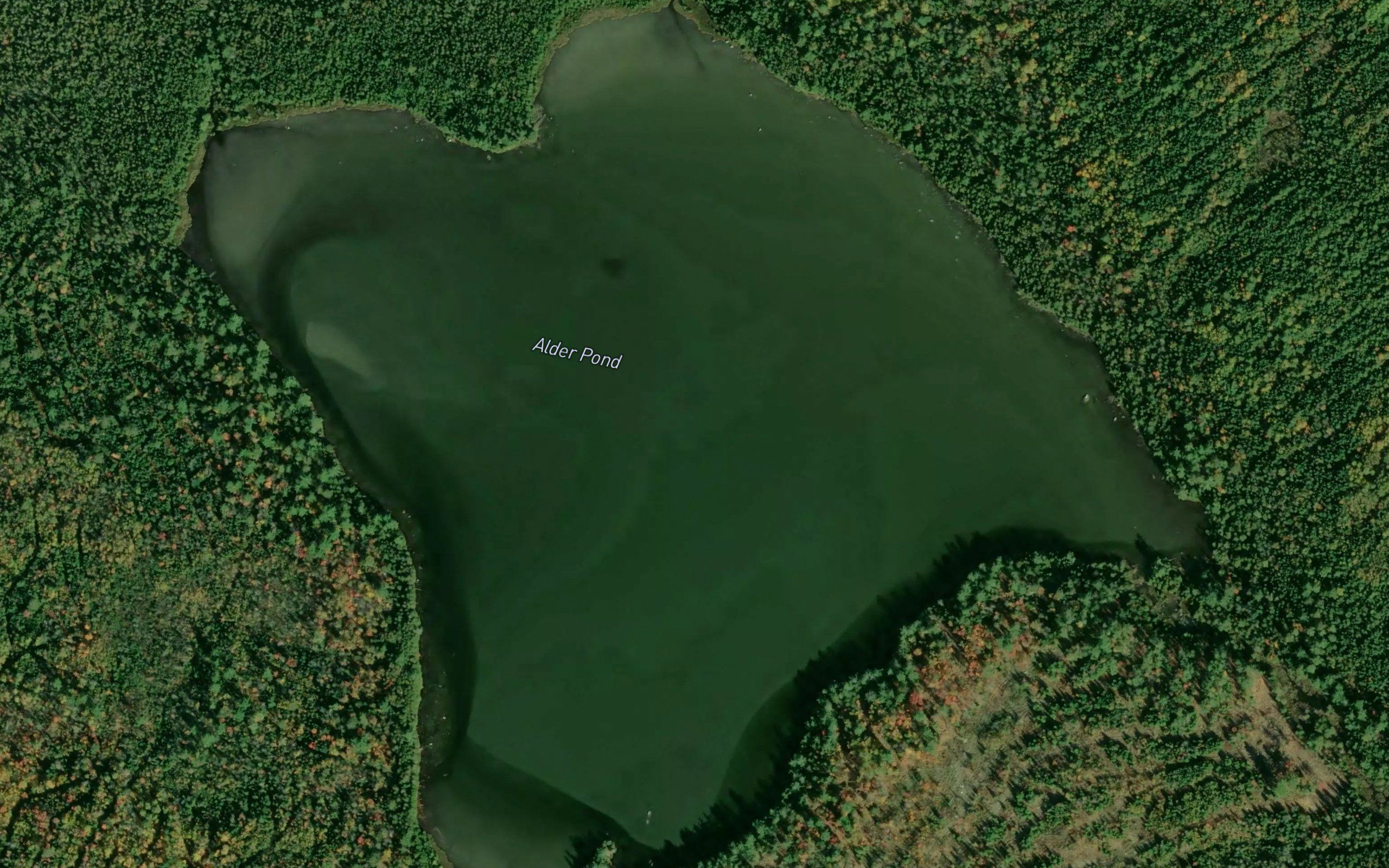 Alder Pond