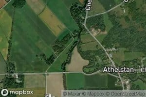 Riviere Hinchinbrooke