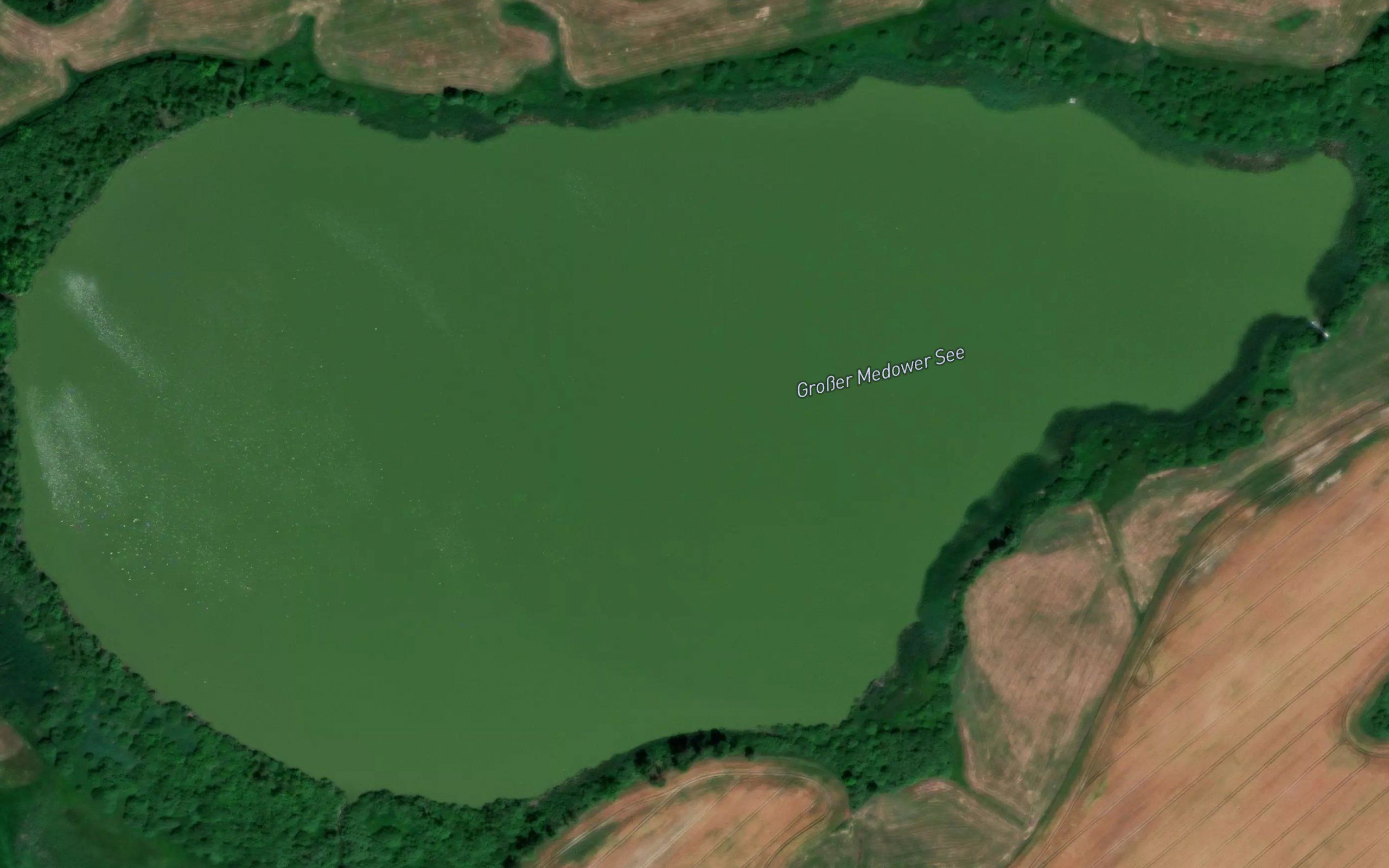 Gross Medower See