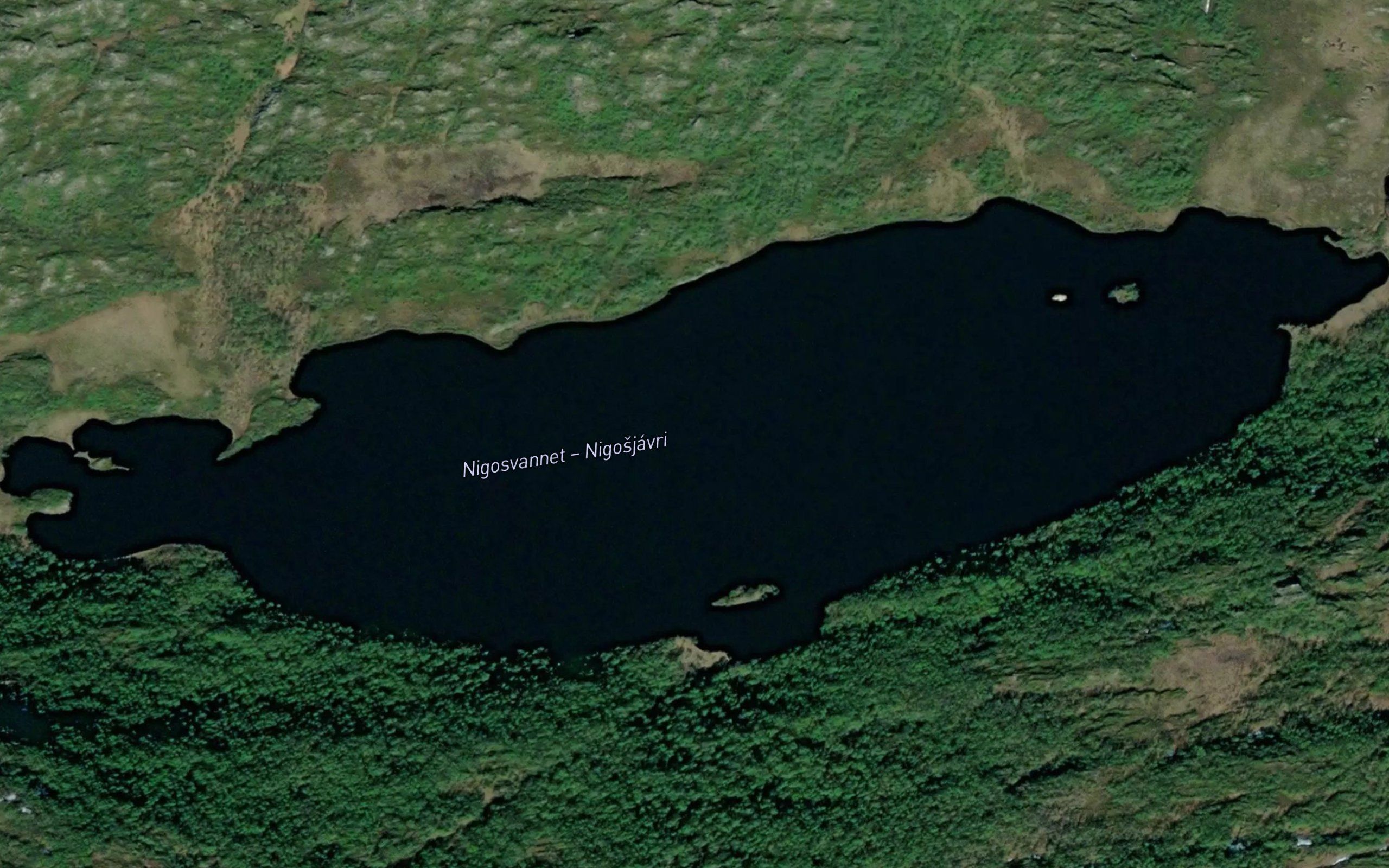 Nigosjavri
