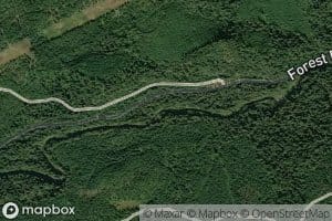 Pin Creek