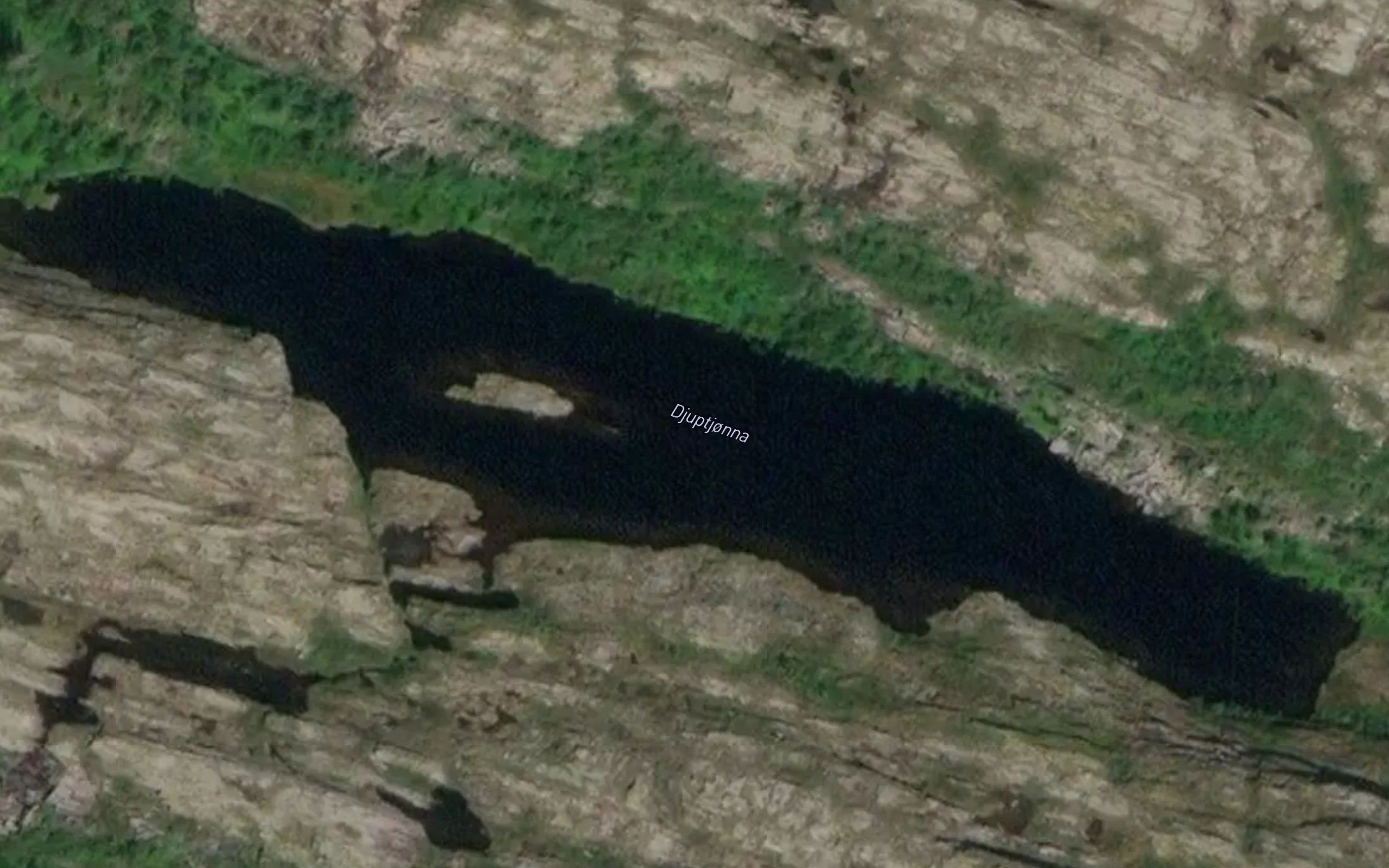 Djuptjorna